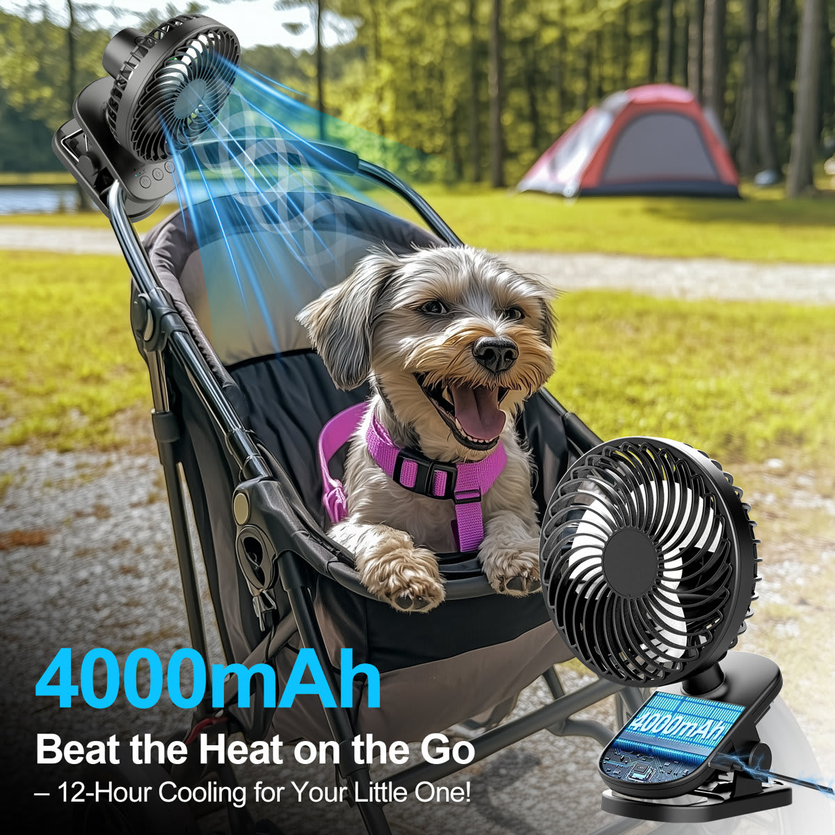 BIGHOUSE 2002000015 m090300 - View #5