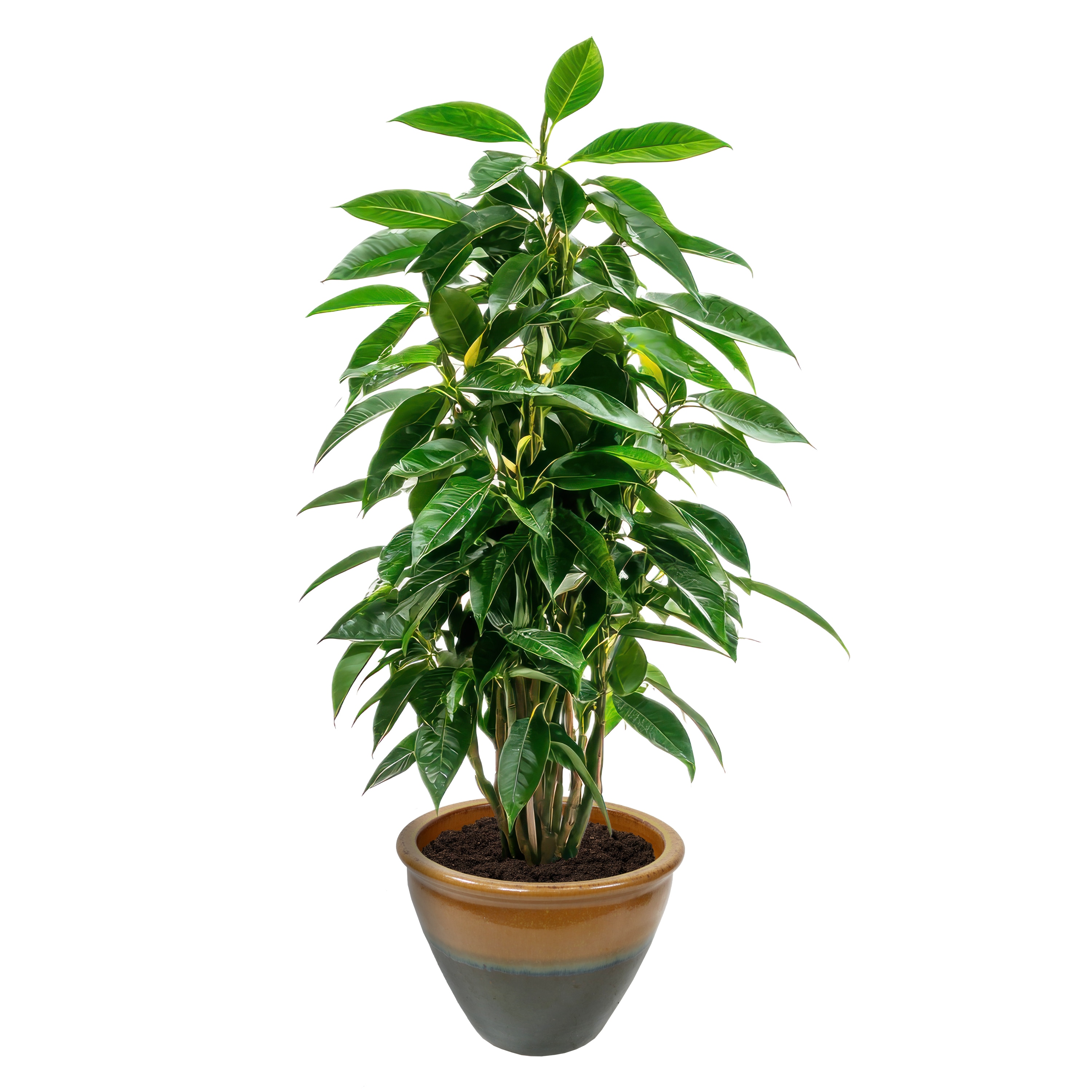 Sunnydaze Decor AP-810 Planter-Window-Box - View #3