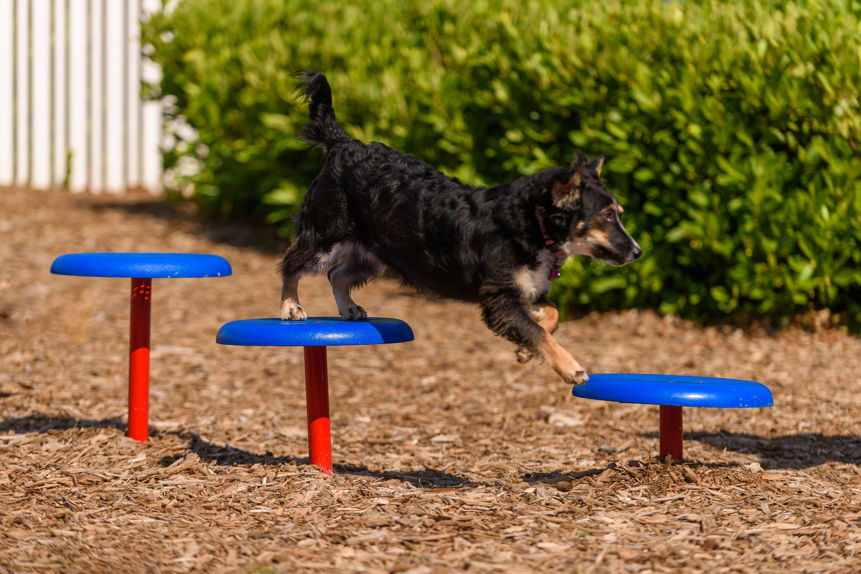 UltraPlay PBARK-470P Dog-Park-Agility-Course-Components - View #3