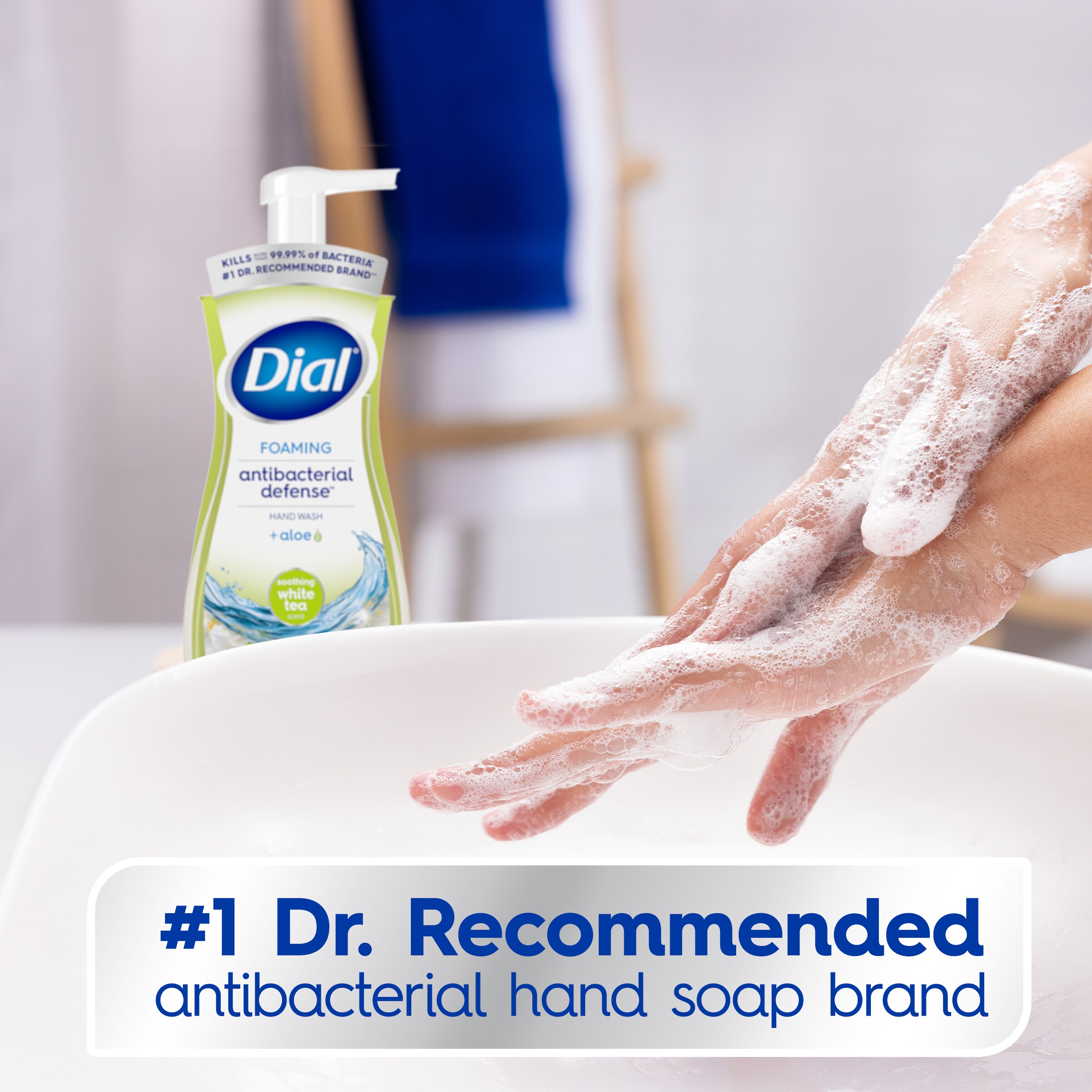 Dial 7.5 oz Soothing White Tea Antibacterial Foaming Hand Soap 1700007973 at Lowes