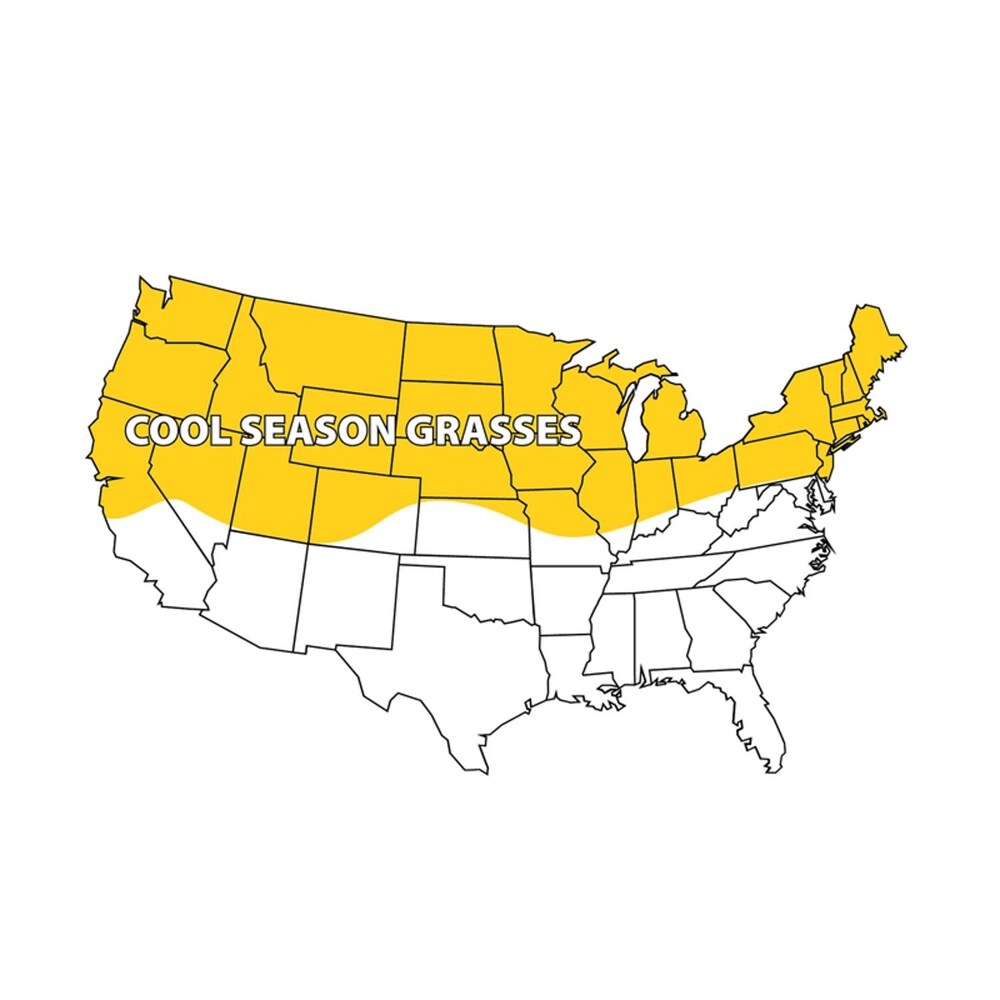 Barenbrug 25436 Grass-Seed - View #3