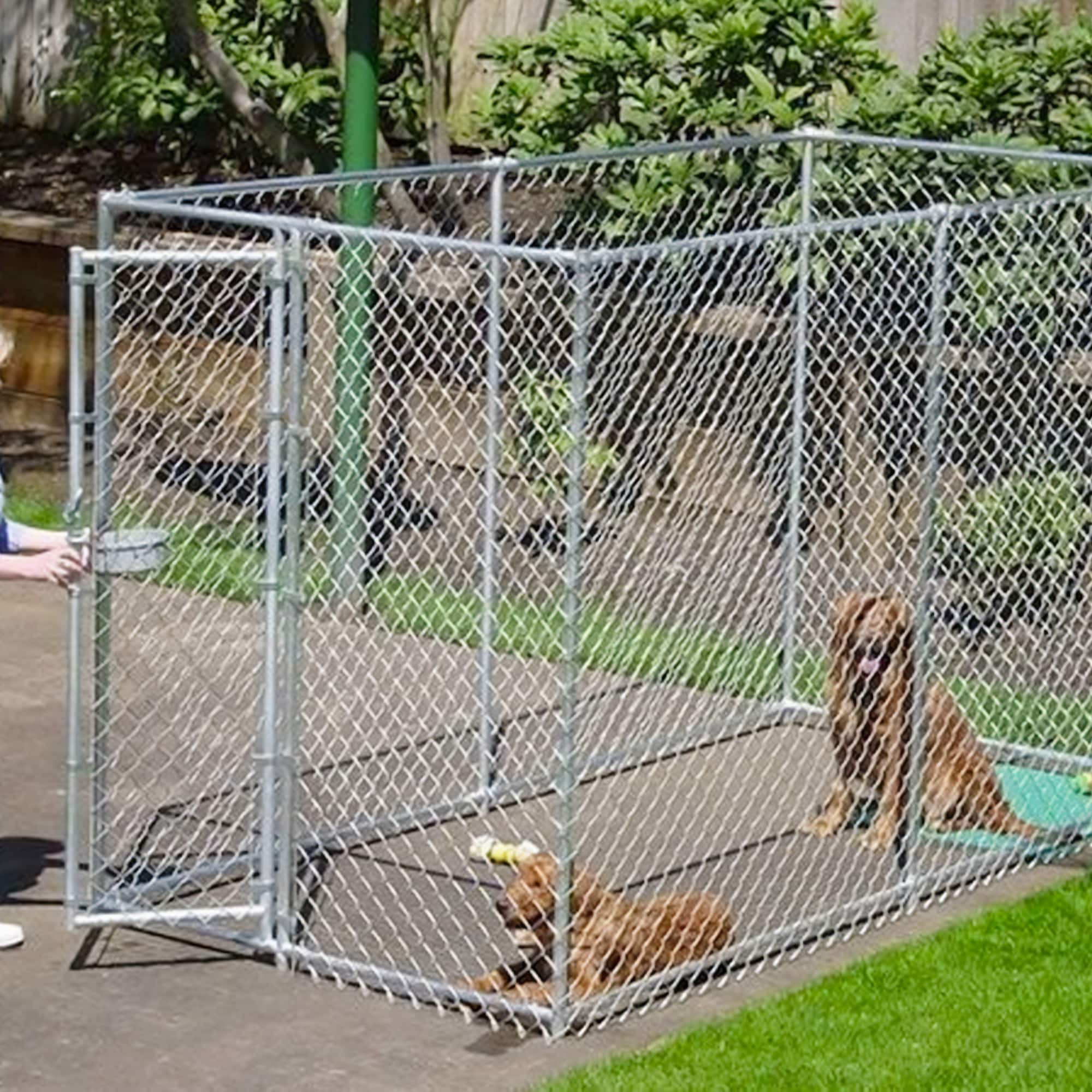 Lucky Dog 117259 Pet-Crates-Carriers - View #4