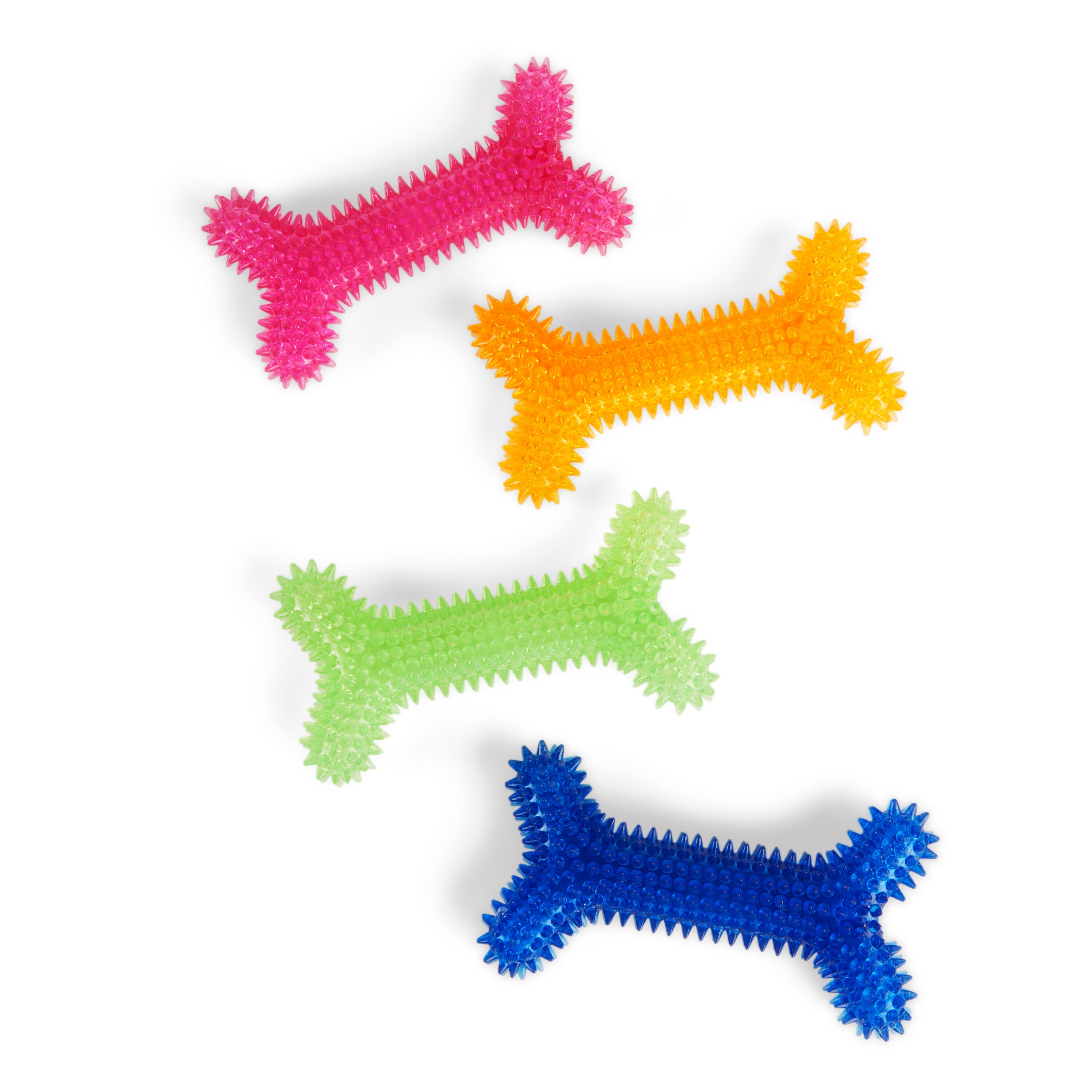 Leaps & Bounds 3679362 Leaps and Bounds Spiny Bone Dog Chew Toy in Various Styles, Medium