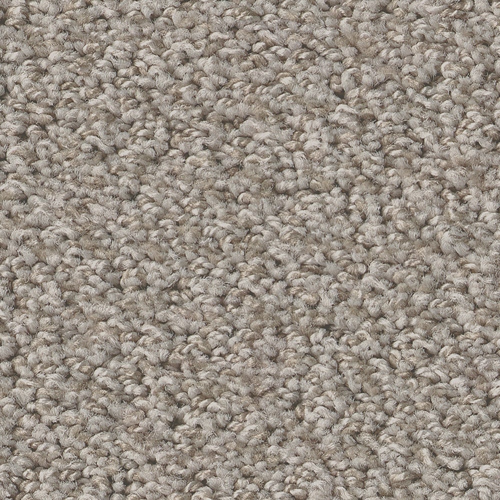STAINMASTER PetProtect 7L85100108 Carefree Days Fossil Path Brown 43.9-oz sq yard Nylon Level loop Indoor Carpet