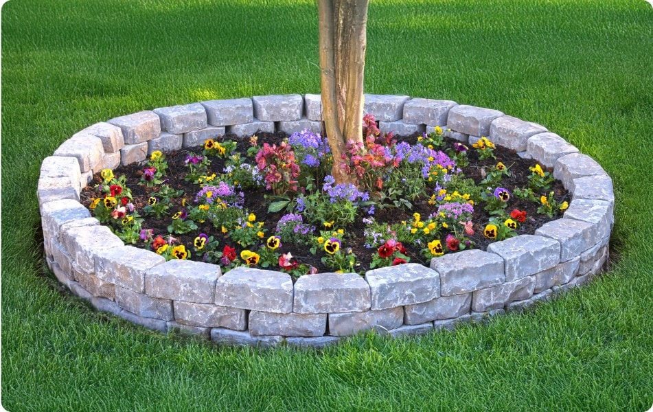   Create a Tree Ring Garden