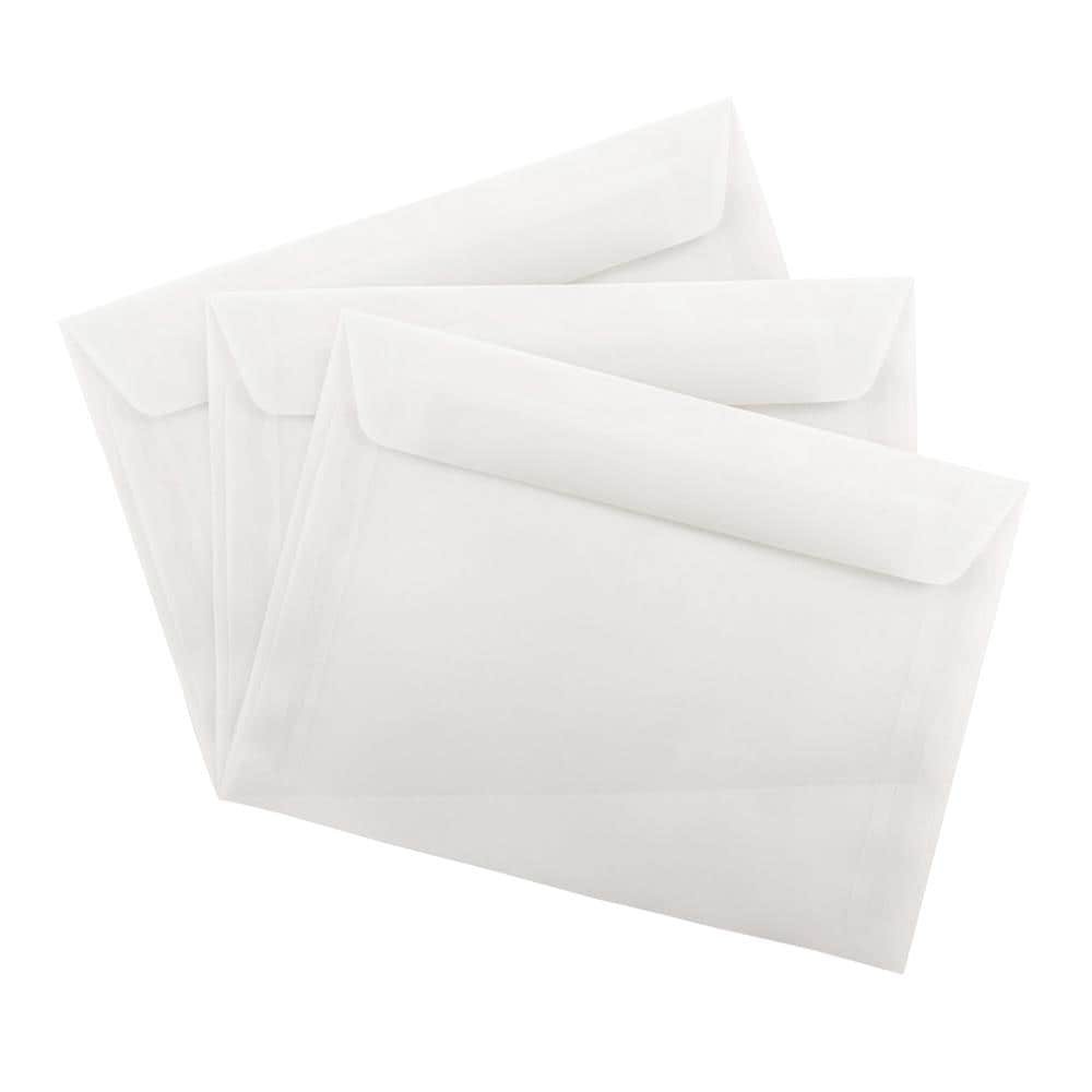 JAM Paper 4.125 x 9.5 Business Translucent Vellum Envelopes