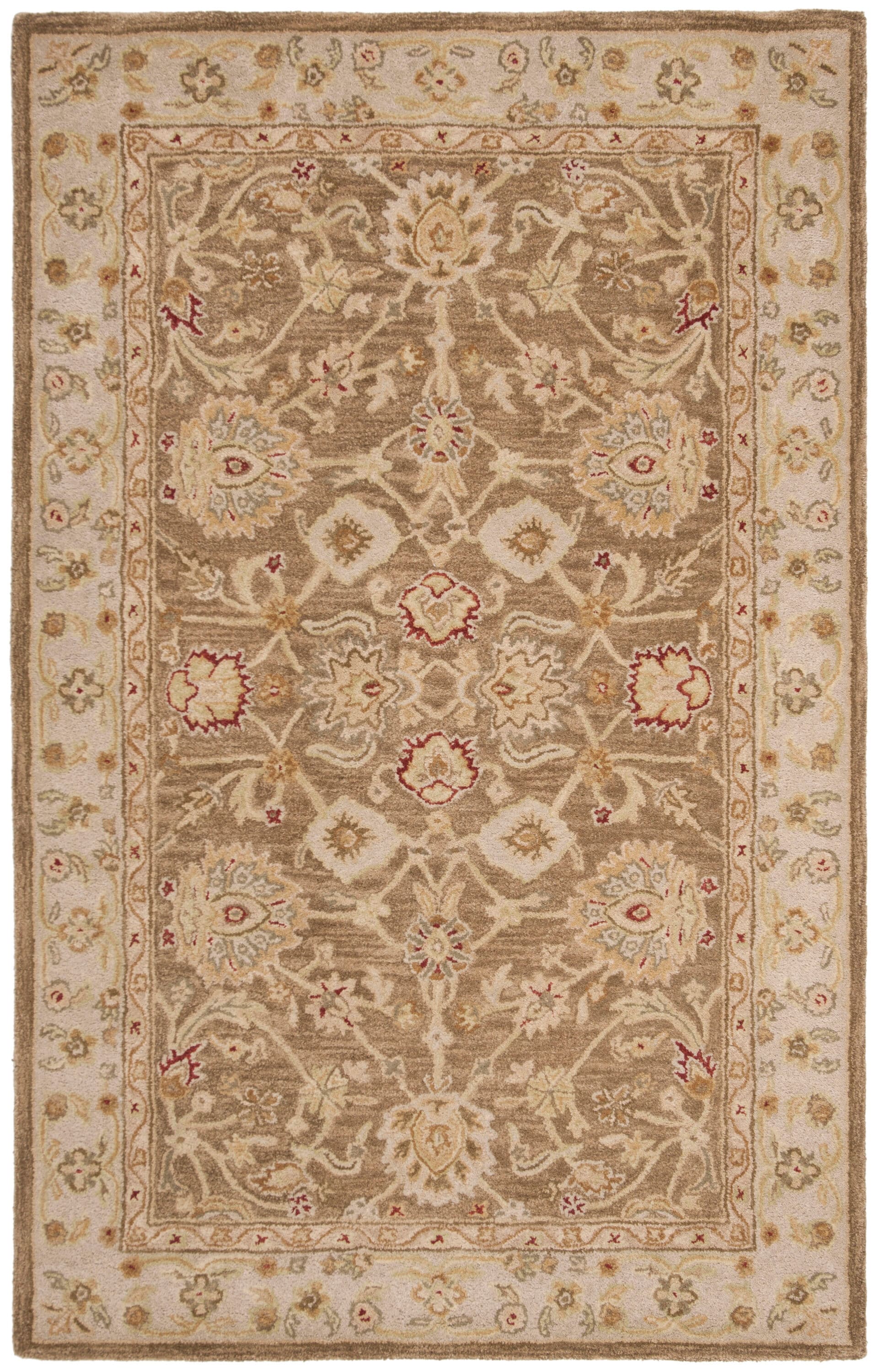 Safavieh AN522B-5 rugs - View #2