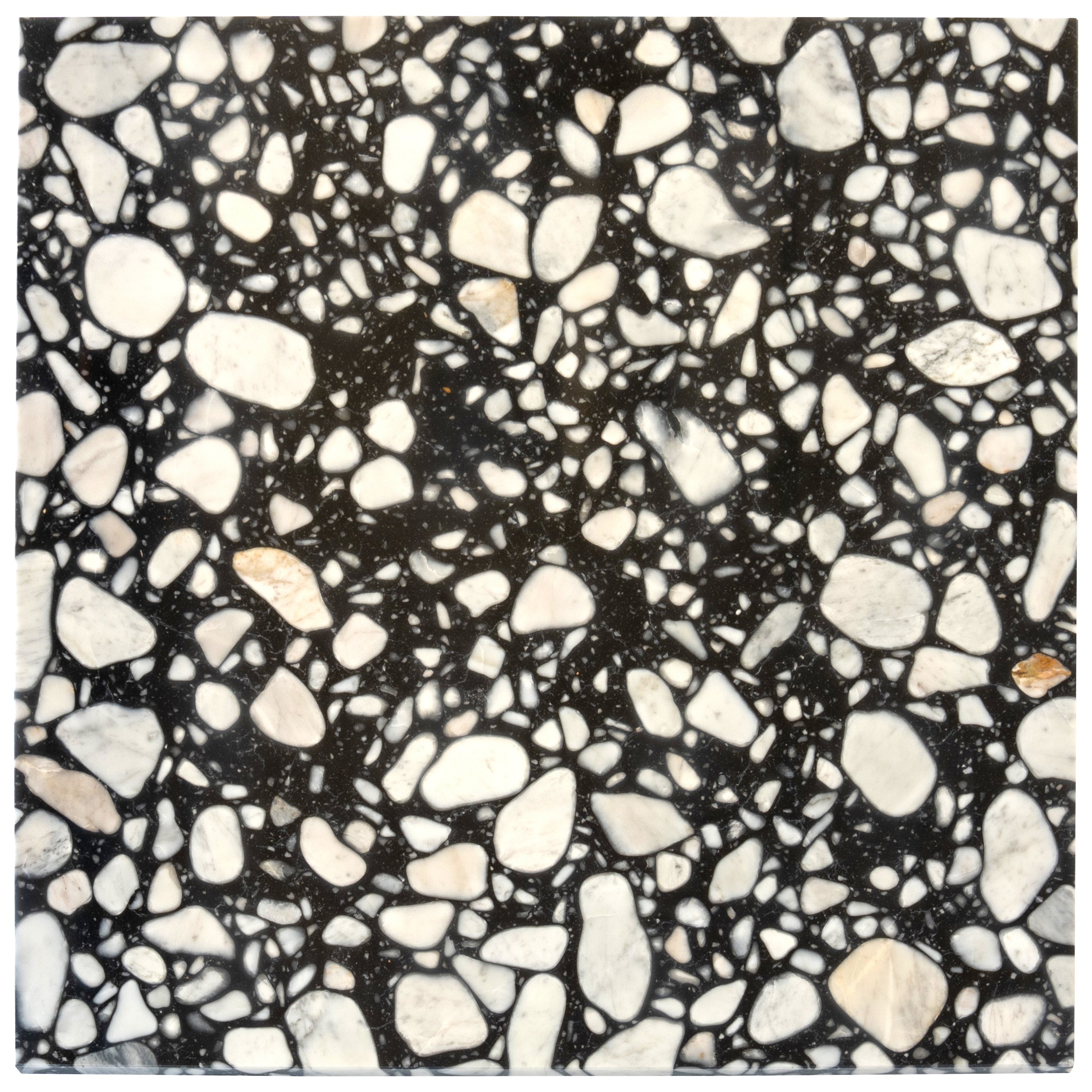 Apollo Tile Terraforma Jet Black 24-in x 24-in Polished Natural stone Marble Floor and Wall Tile ( 15.5-sq ft Carton )