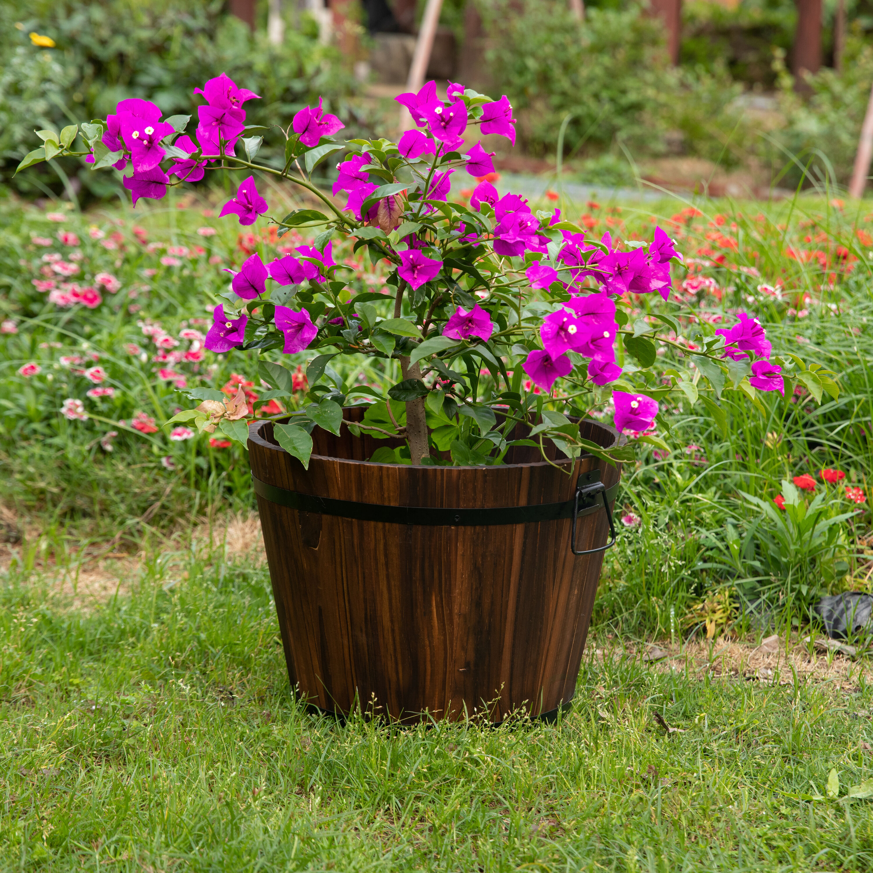 Quickway Imports QI003236.M Planter-Window-Box - View #2