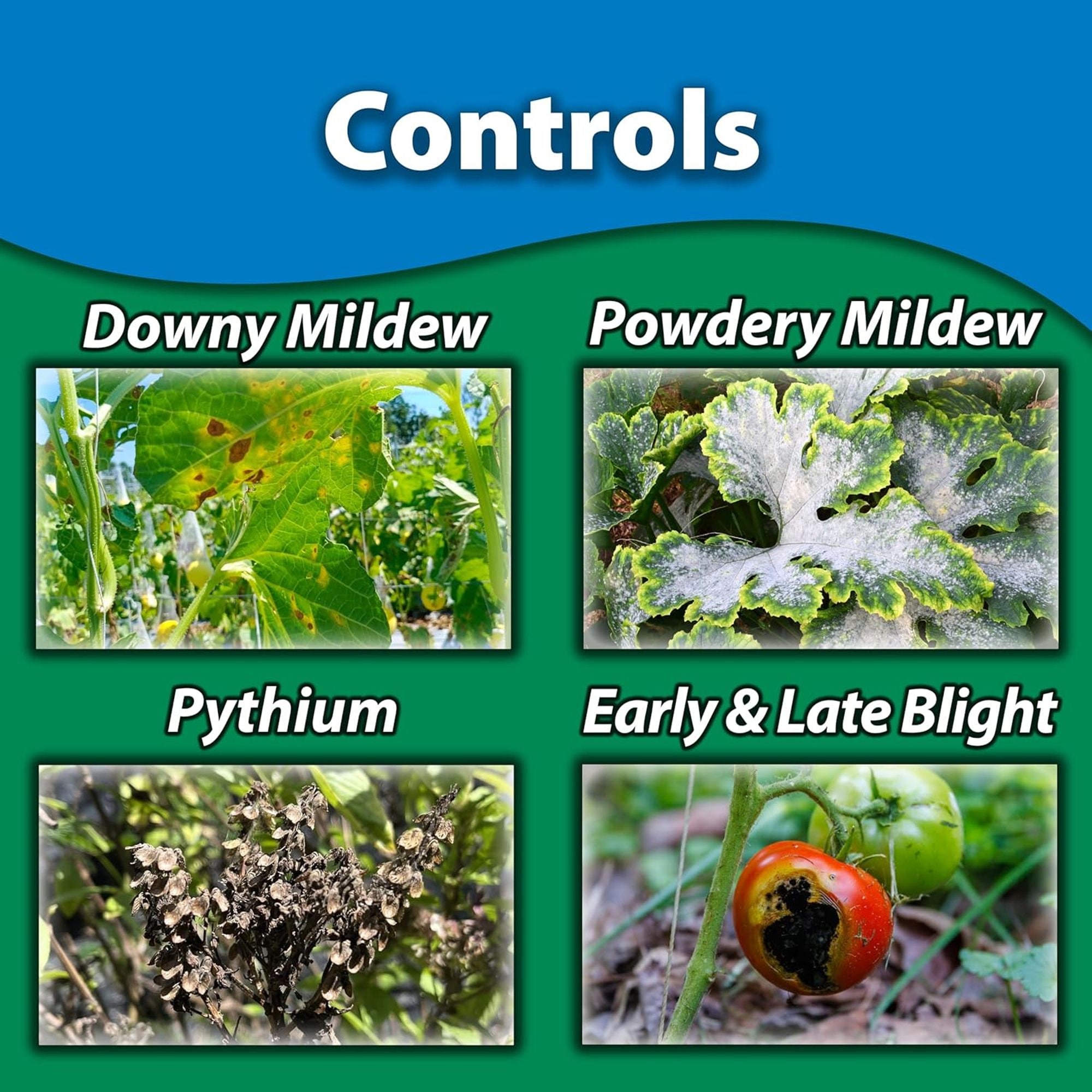 Monterey Copper Fungicide Garden Spray Concentrate - 1 Gallon in