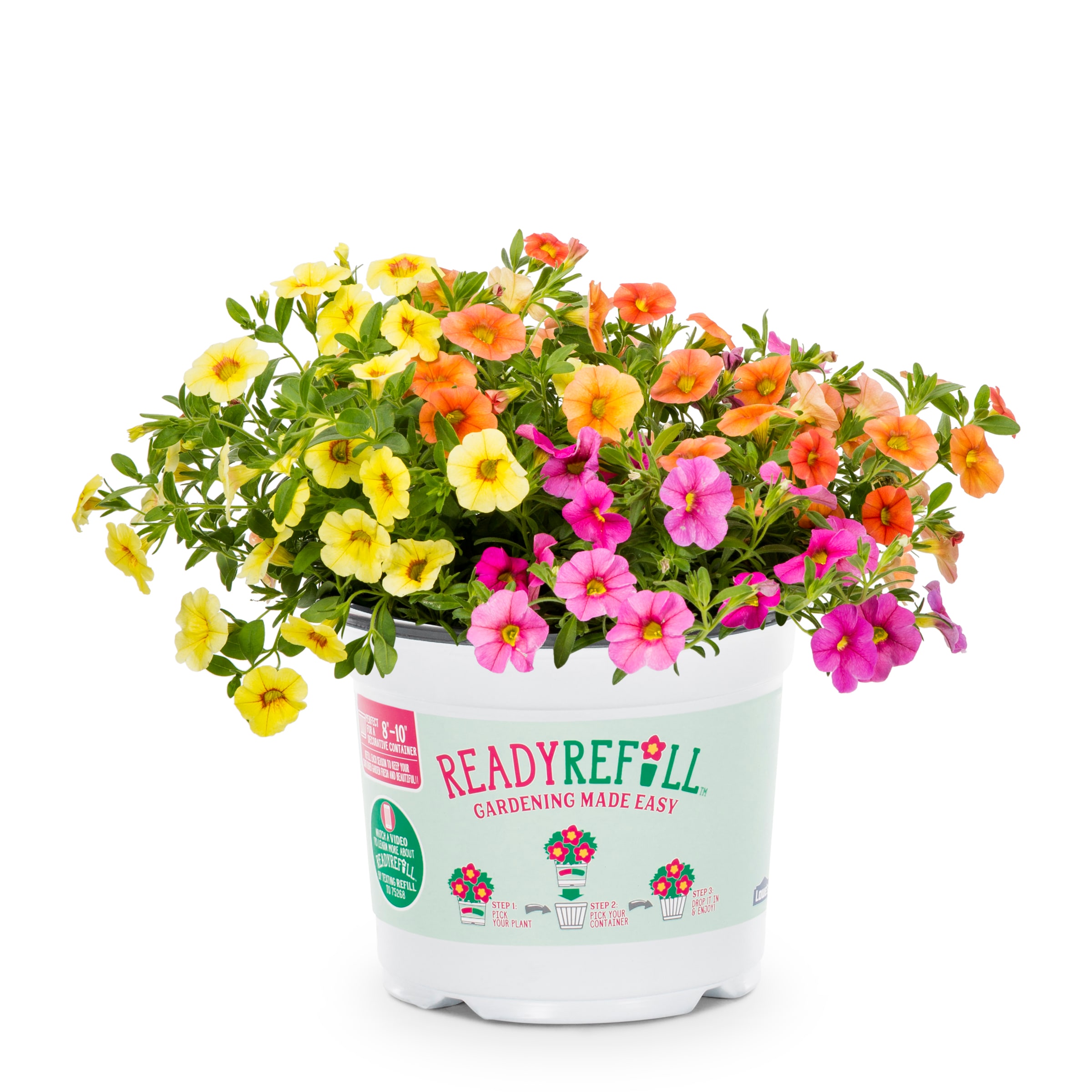 Ready Refill NURSERY Multicolor Mixed Annuals Combinations in 3-Quart Pot