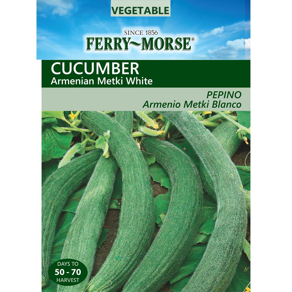 Ferry-Morse 472391.158.402275 1.75-Gram Cucumber Armenian Metki White (L0000)