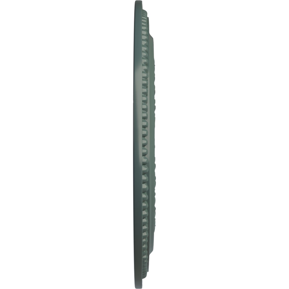 Ekena Millwork CM18OL1CBF Ceiling-Medallions - View #3