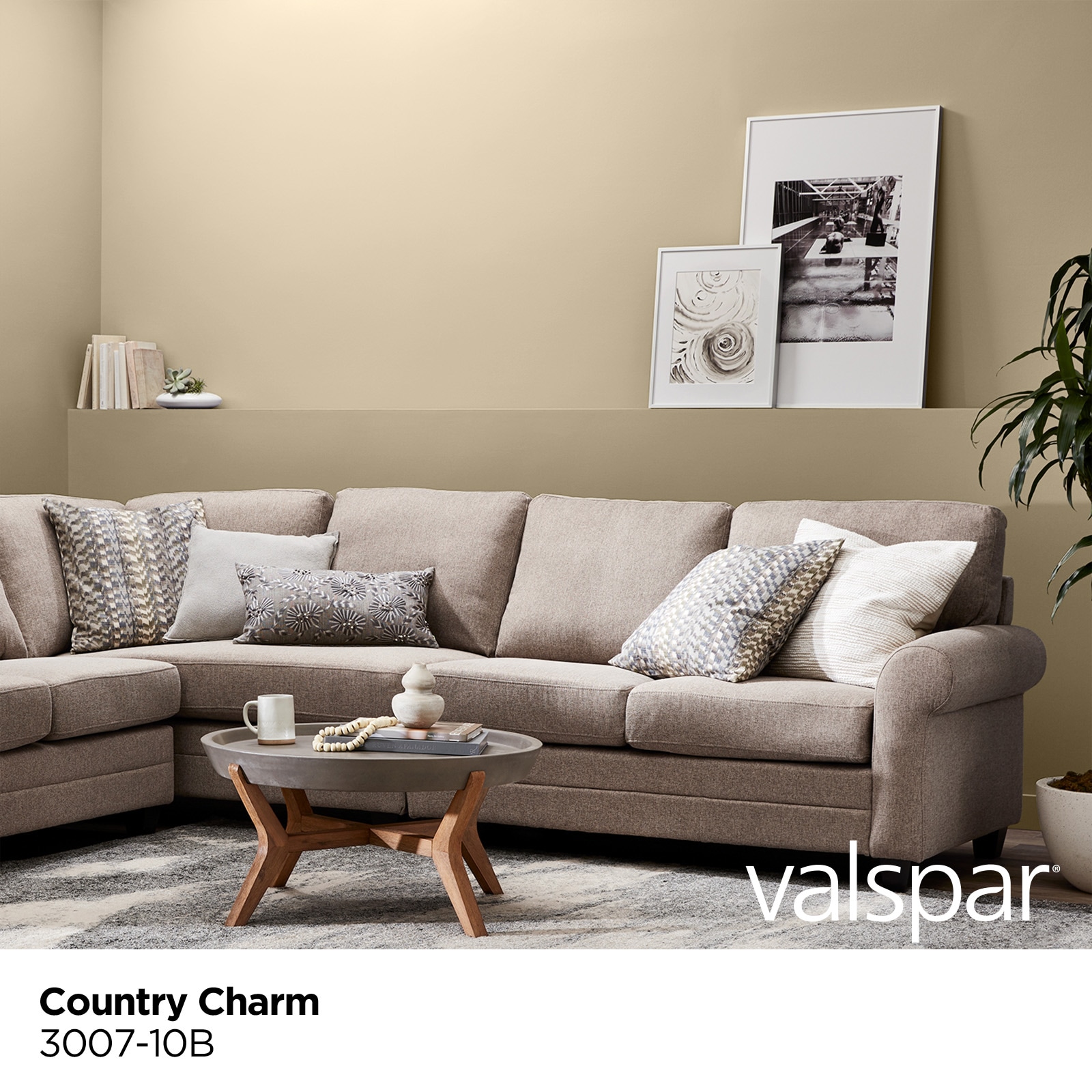 Valspar 3007-10B-2916586 Int-Ext-Paint - View #2
