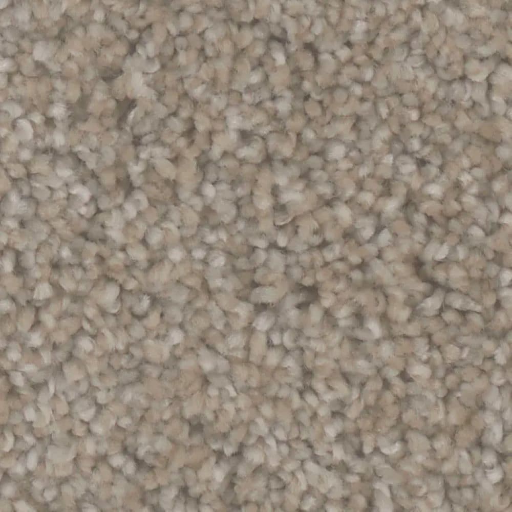 STAINMASTER S9977-20015-S (Sample) Hammock Brown 77-oz sq yard Polyester Textured Indoor Carpet