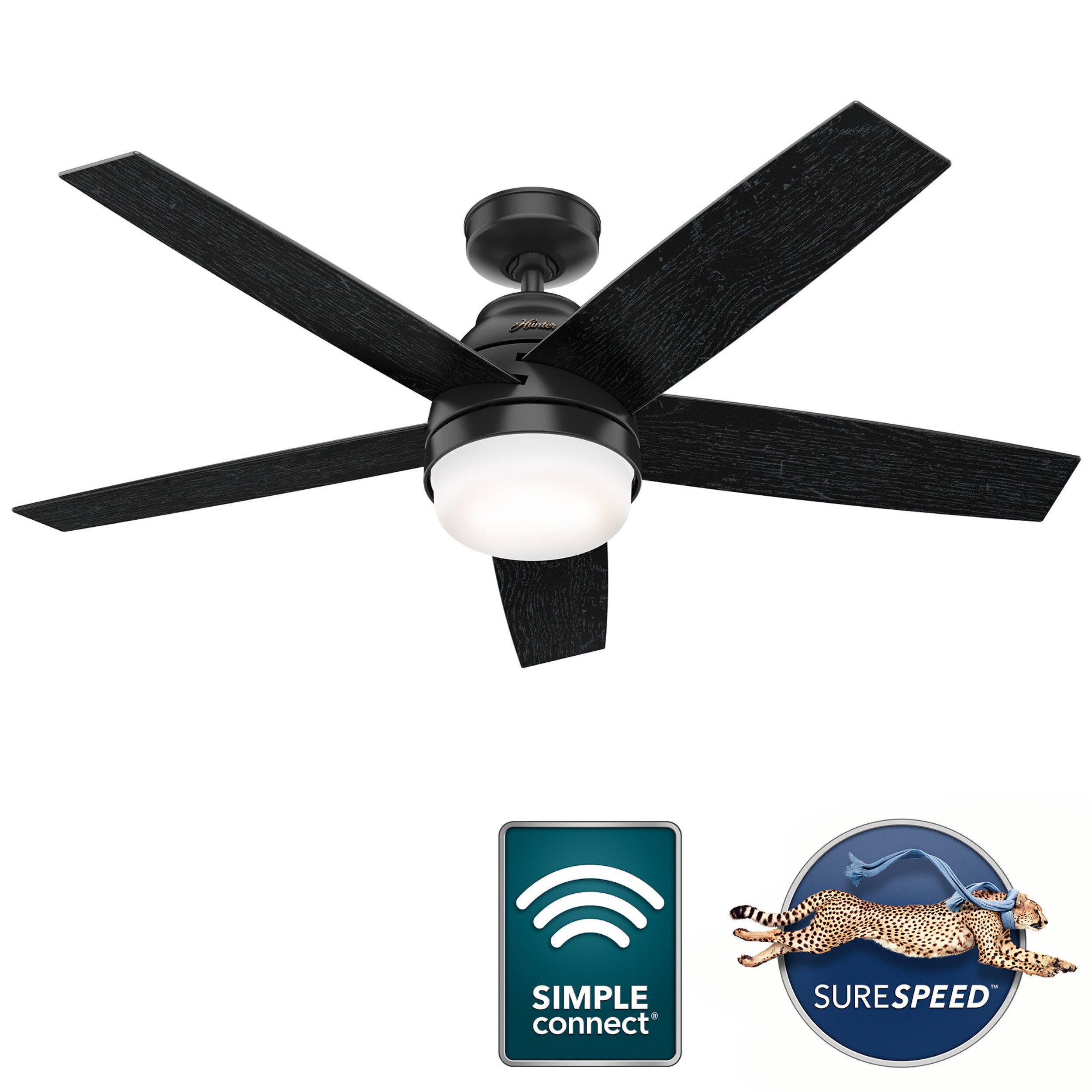 Hunter 51350 Ceiling-Fans - View #3