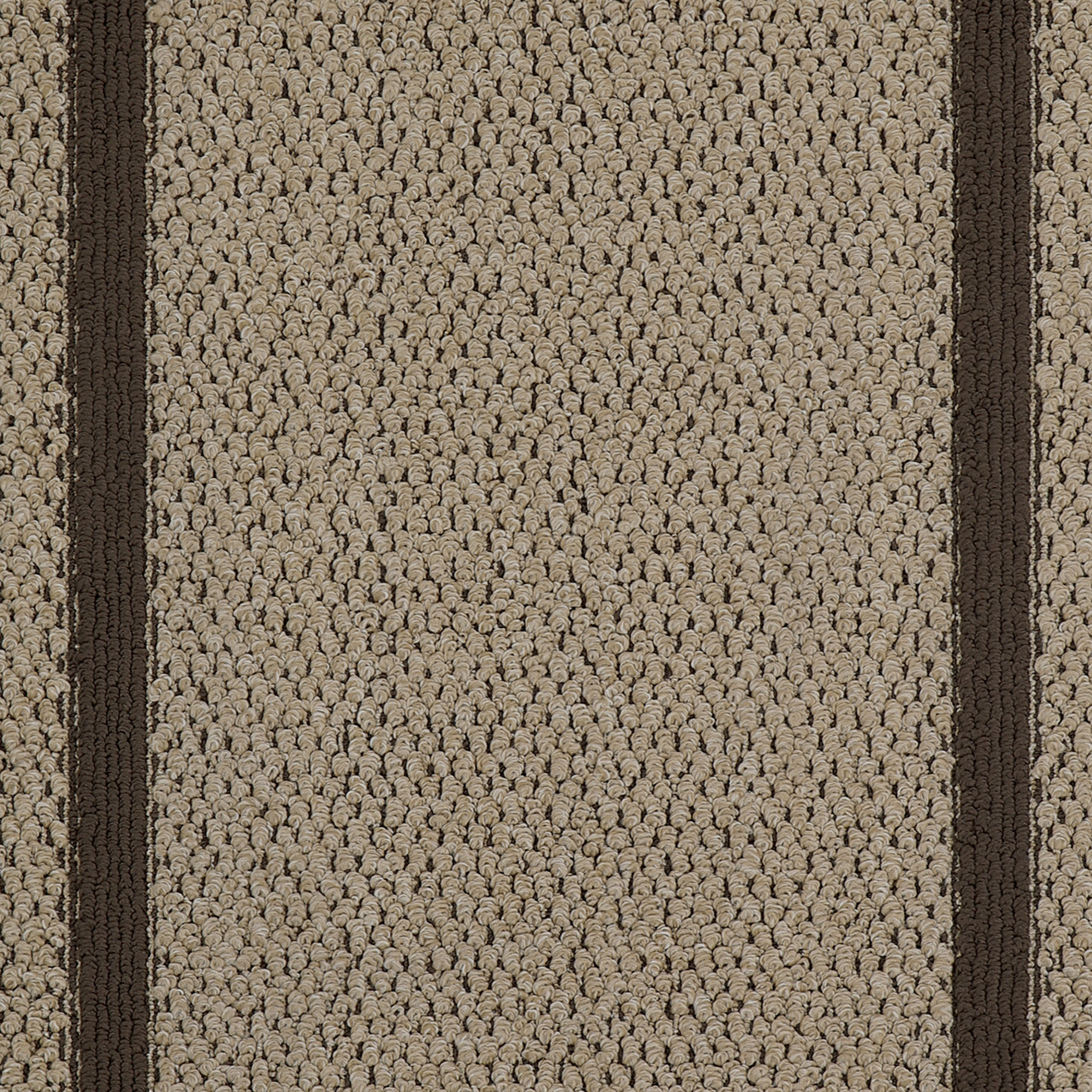 Javen Brown Machine Washable Non-Skid Rug Latitude Run Rug Size: Rectangle 8'10 x 12'2