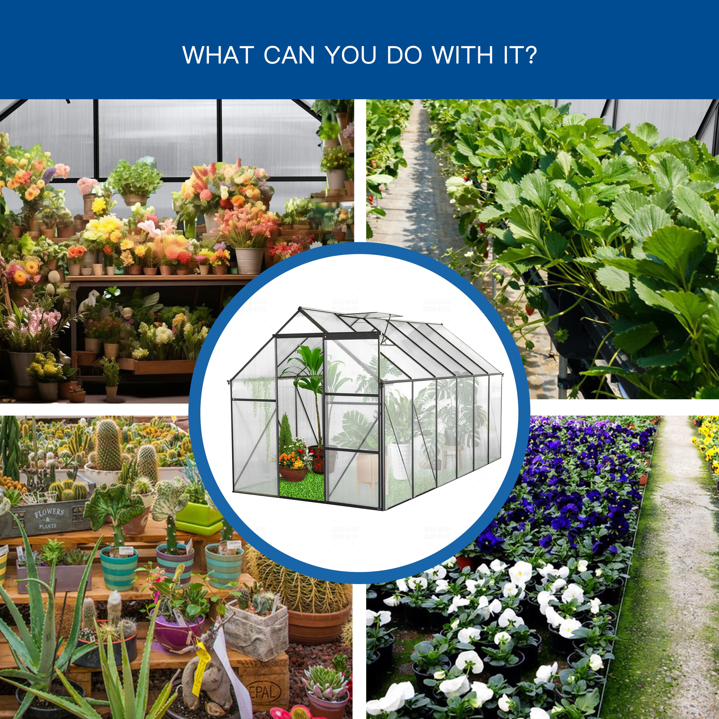 Mondawe MD-WWC00018 greenhouses - View #4