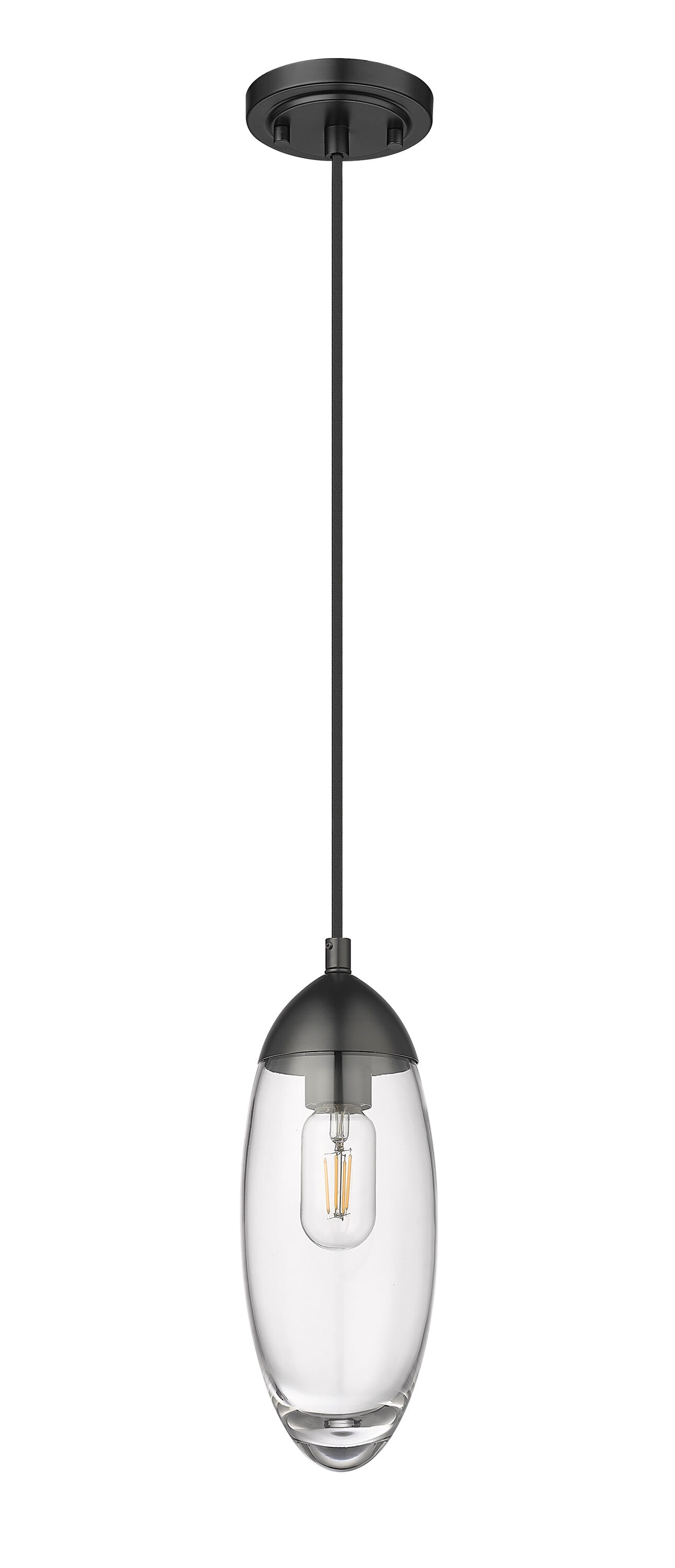 Matte Black Glass and Nickel Indoor/Outdoor Pendant Light