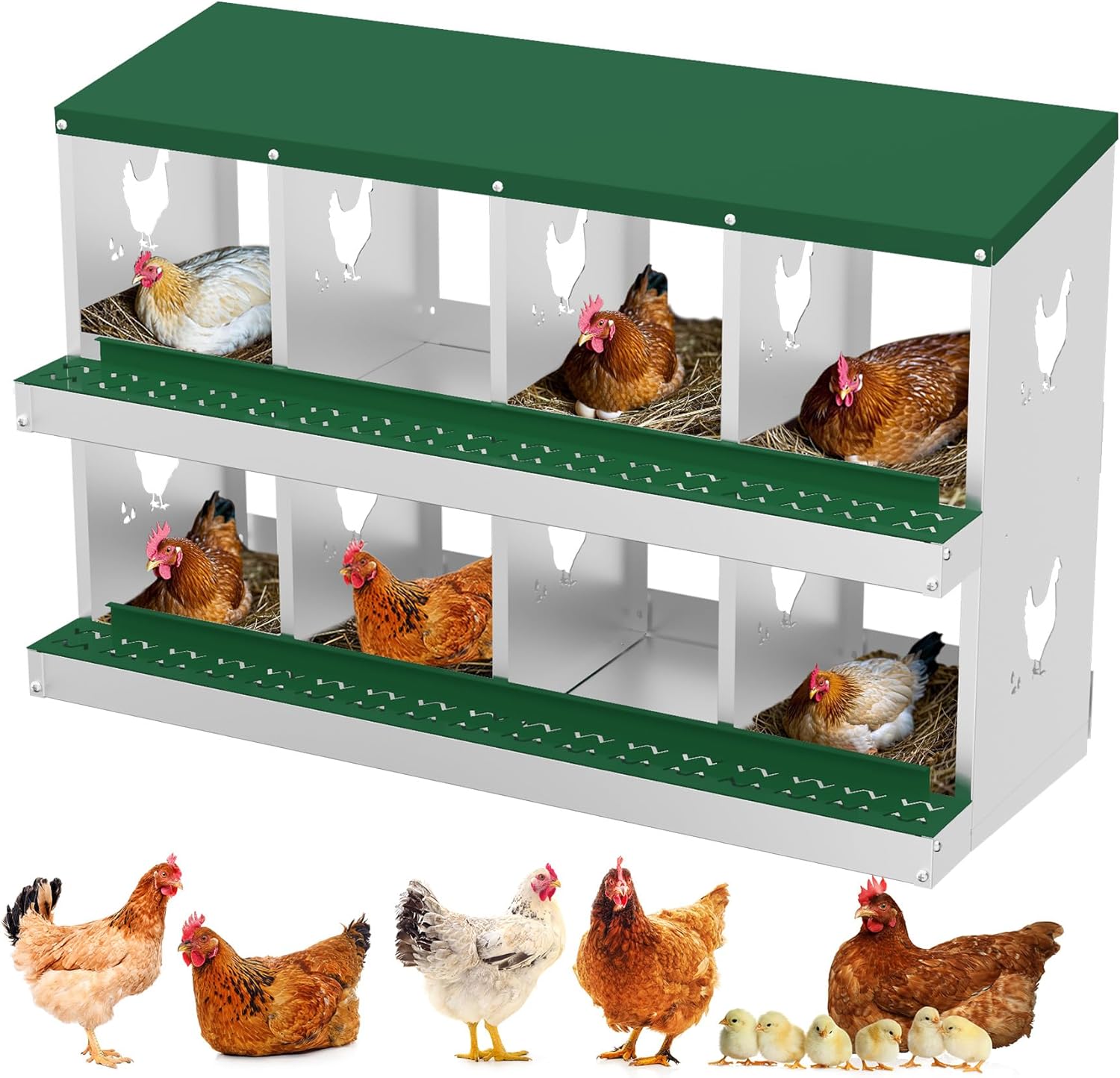 Qeetex WLS-PHO-348STS3V Nesting Boxes for Chickens 8 Compartment Chicken Nesting Box Metal Chicken Laying Boxes with Perch Secure Lid