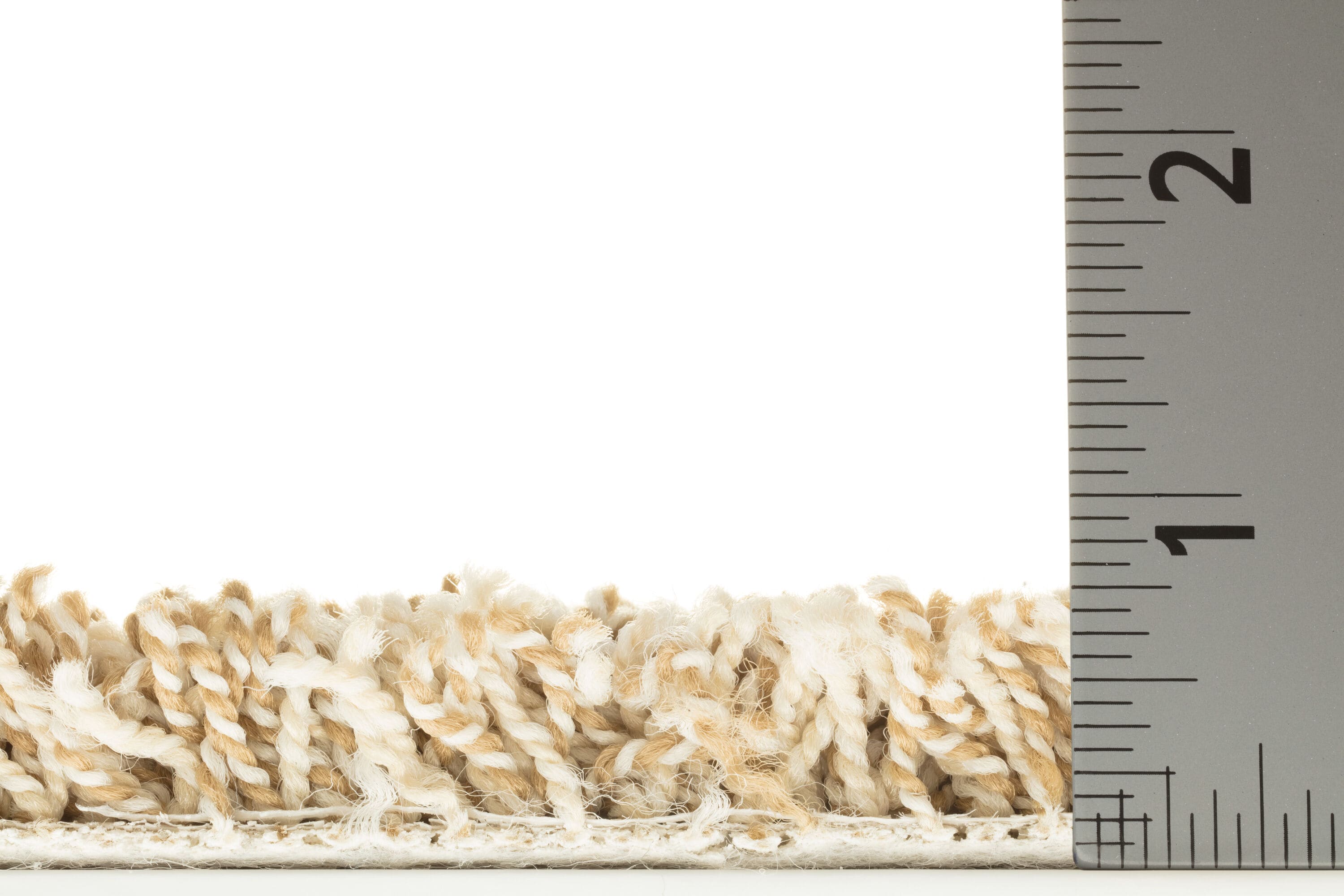 STAINMASTER PetProtect 7L859 - 623 - SAMP Carpet-Samples - View #6