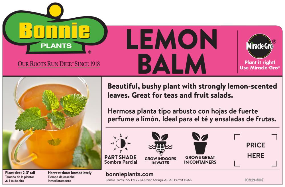 Bonnie Plants 5070  - View #2