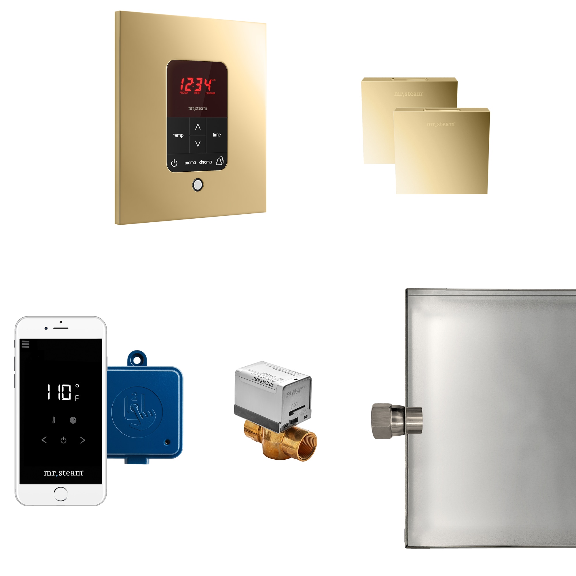 Mr. Steam MSBUTLERXSQ-PB 120-Watt Polished Brass Steam generator control kit