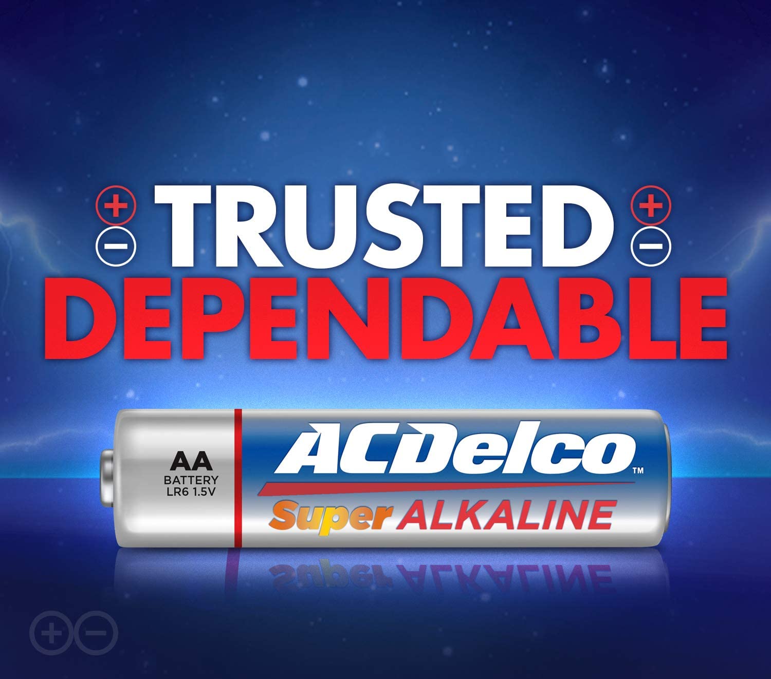 ACDelco Alkaline AA Batteries, Double A Batteries (48Pack) in the AA Batteries department at