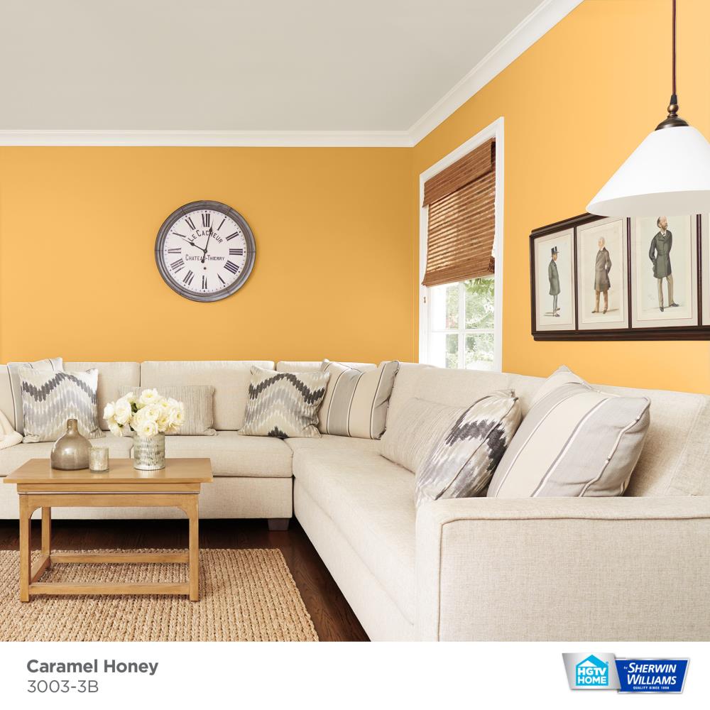 HGTV HOME by Sherwin-Williams 3003-3B-935224 Int-Ext-Paint - View #3