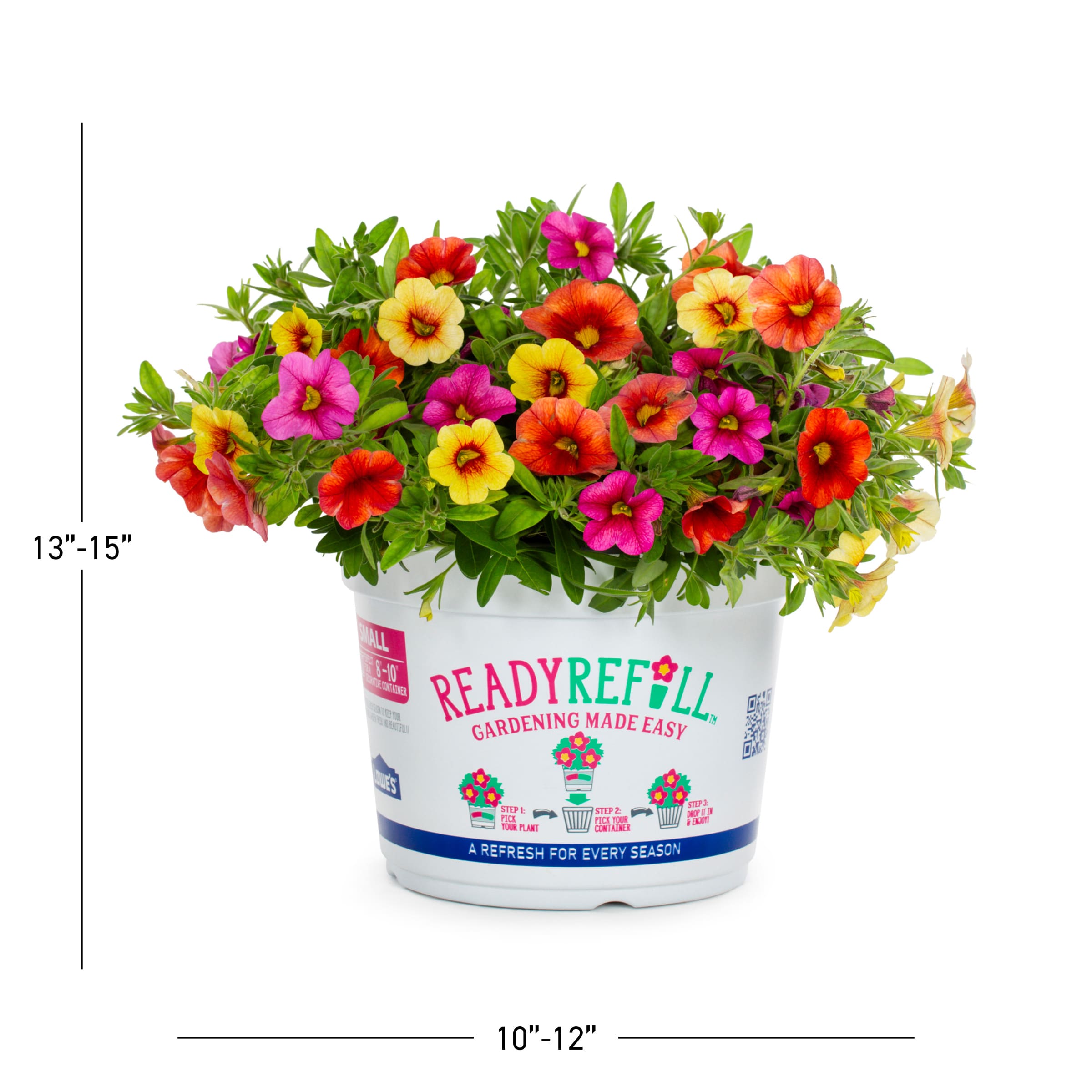 Ready Refill 4948 annuals - View #4