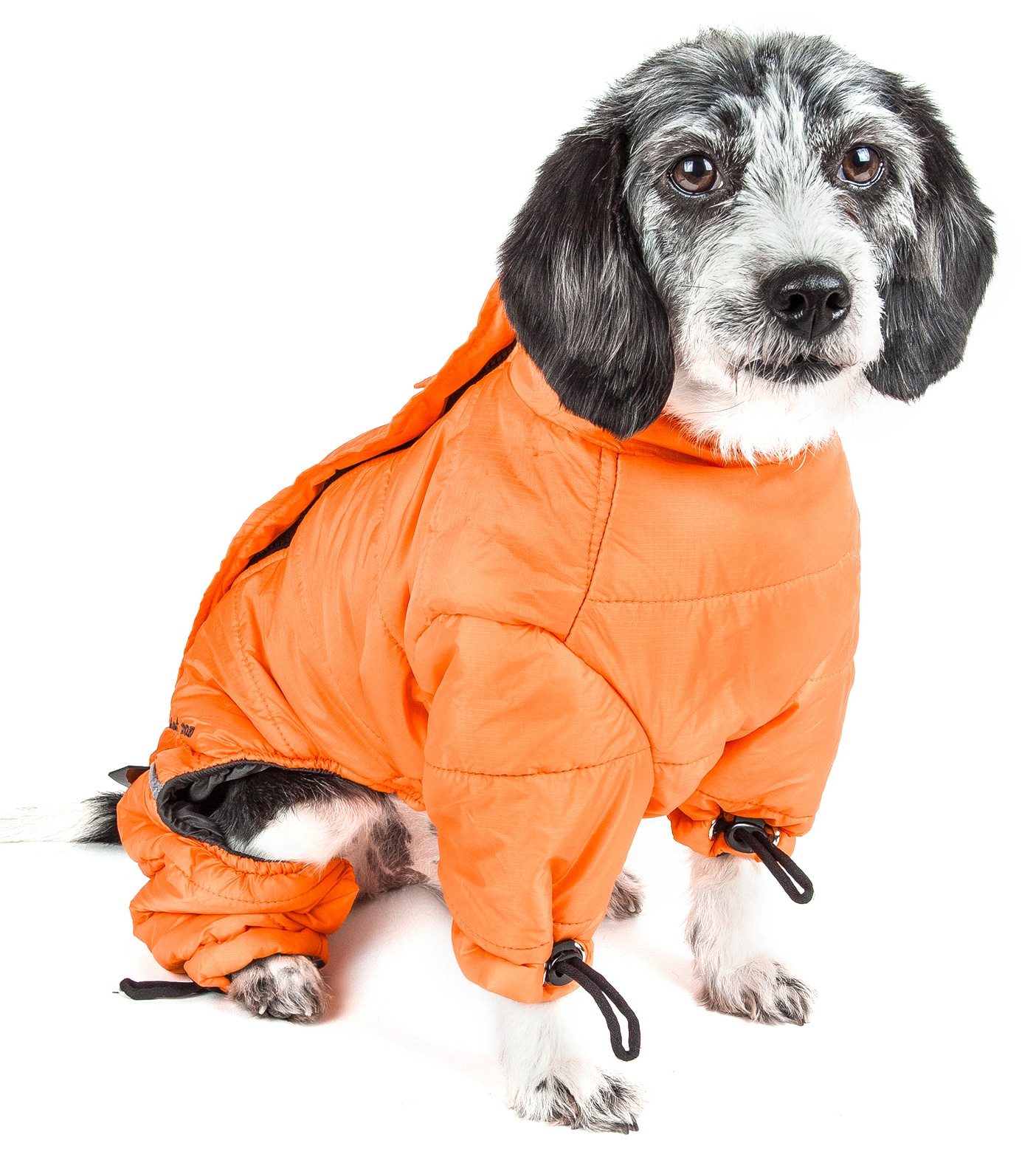 Dog Helios JKHL6ORXL Dog-Apparel - View #2