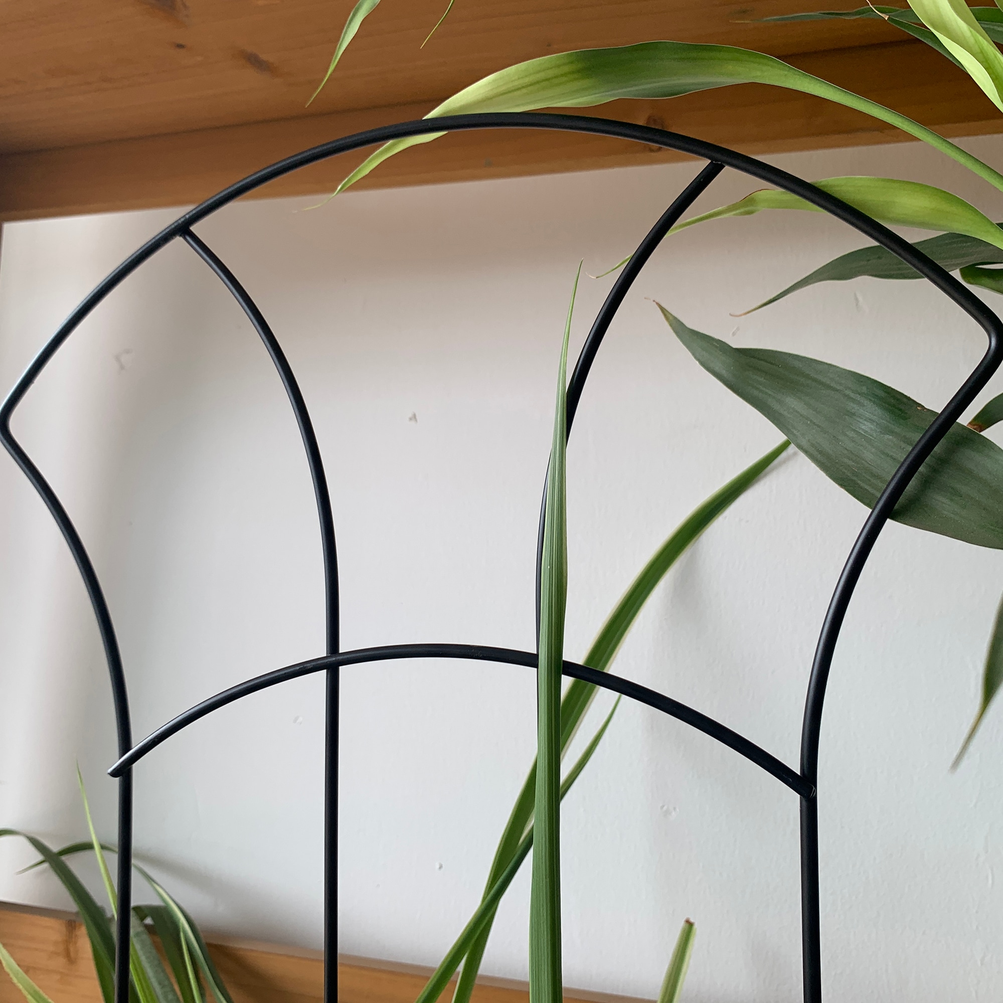 Style Selections TAMT876 Garden-Trellis - View #4
