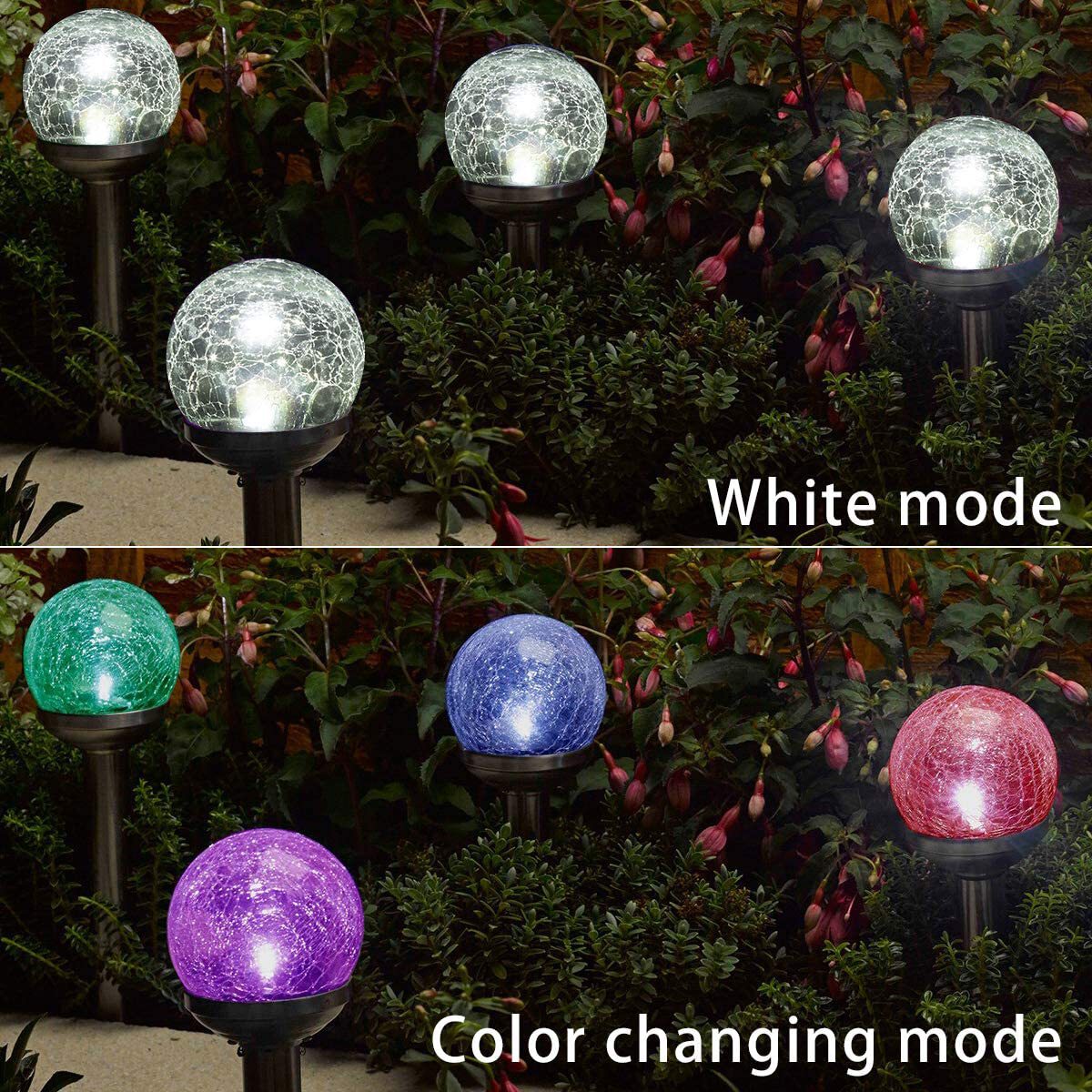 GIGALUMI P-L-LWDX-WL1 Path-Lights - View #5