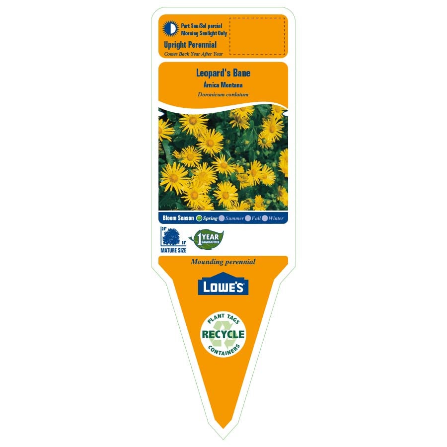Lowe's NURSERY perennials - View #2