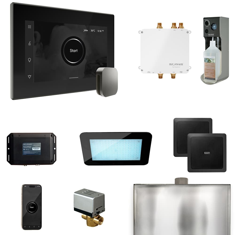 Mr Steam  BLS1 Bliss Package Steam Shower Control Package with Isteamx Control and Steamhead