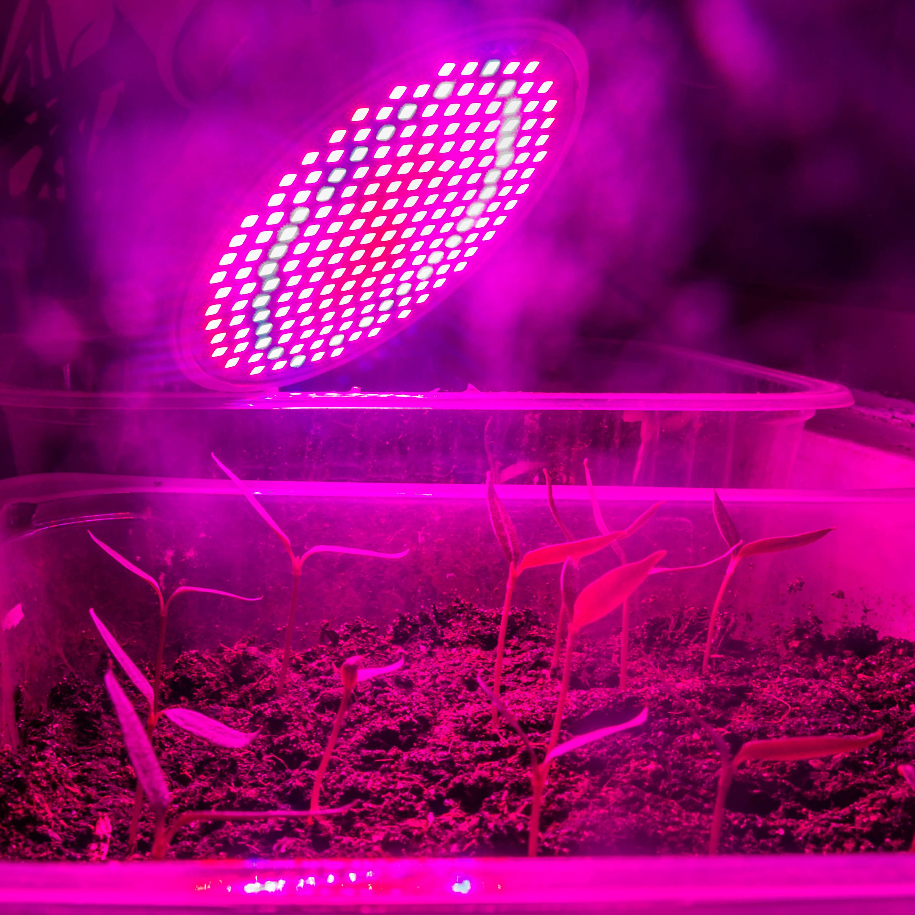 Viribright Lighting 290107 Grow-Lights - View #5