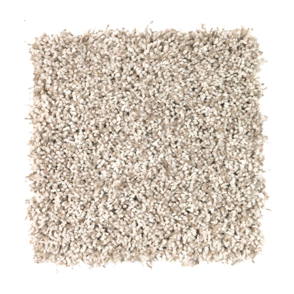 STAINMASTER LW196-L003-0808 (Sample) Essentials 72 Hour Program, Soft and Subtle I Warm Fog Off-white 39.2-oz sq yard Polyester Textured Indoor Carpet