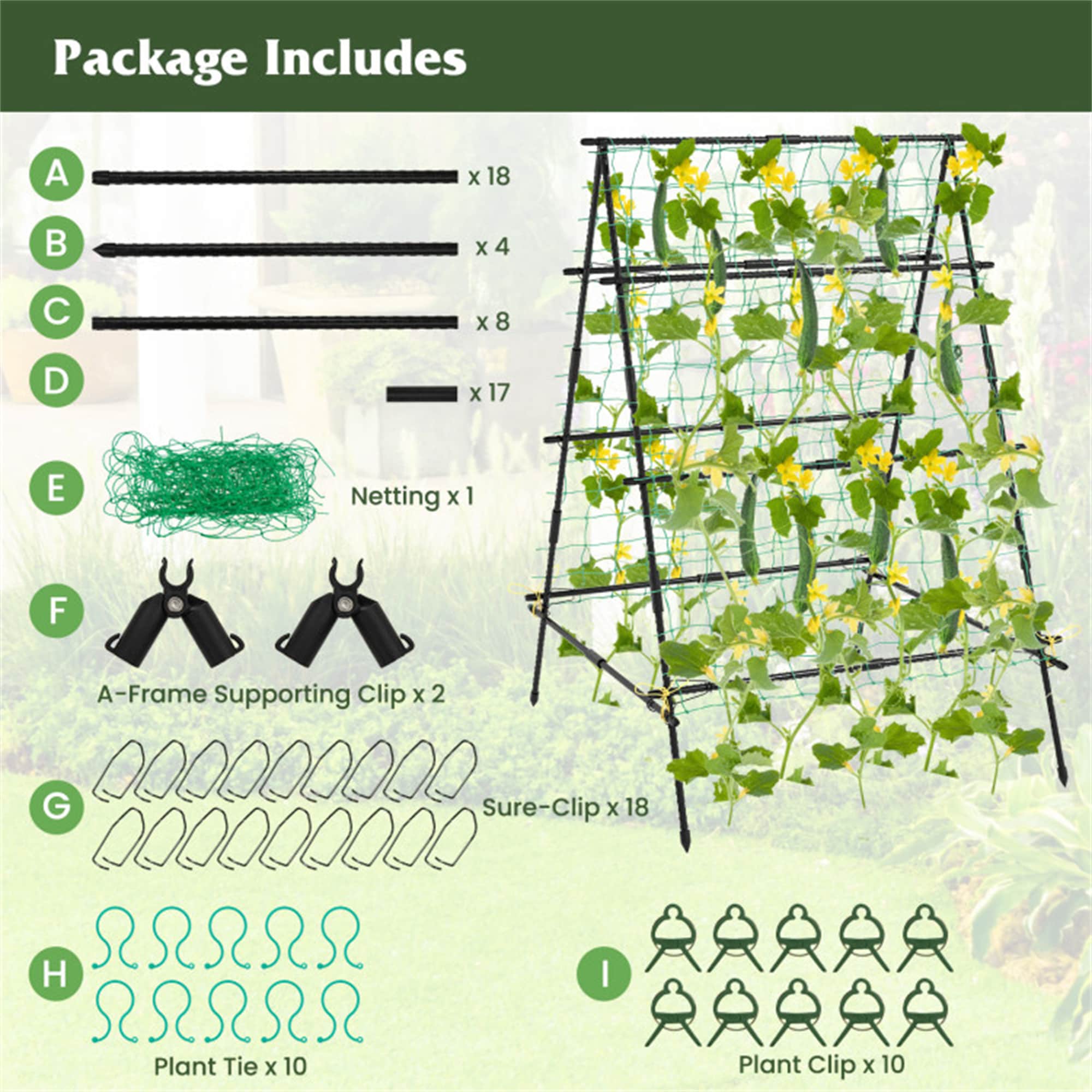 BABOOM BOM-T4171BK-CO Garden-Trellis - View #10