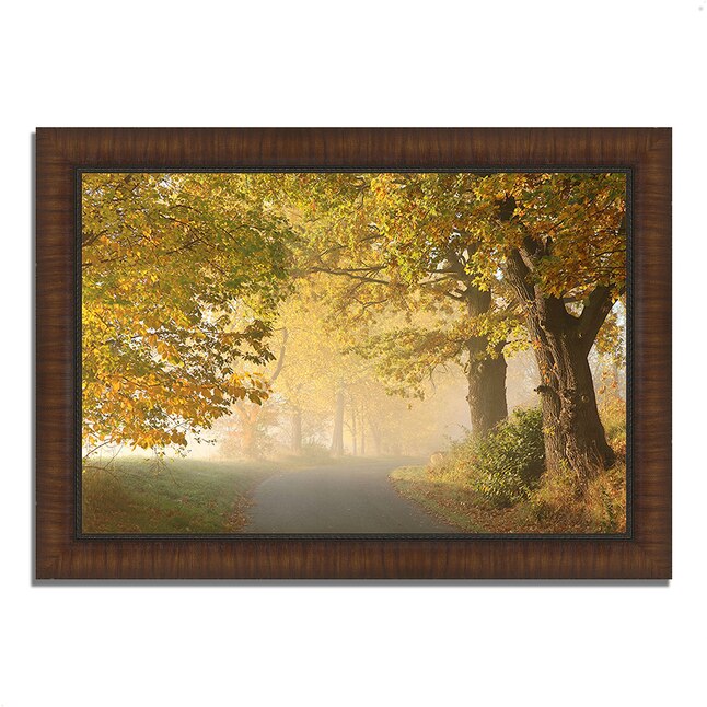 Tangletown Fine Art Brown Wood Framed 36-in H x 51-in W Landscape Paper ...