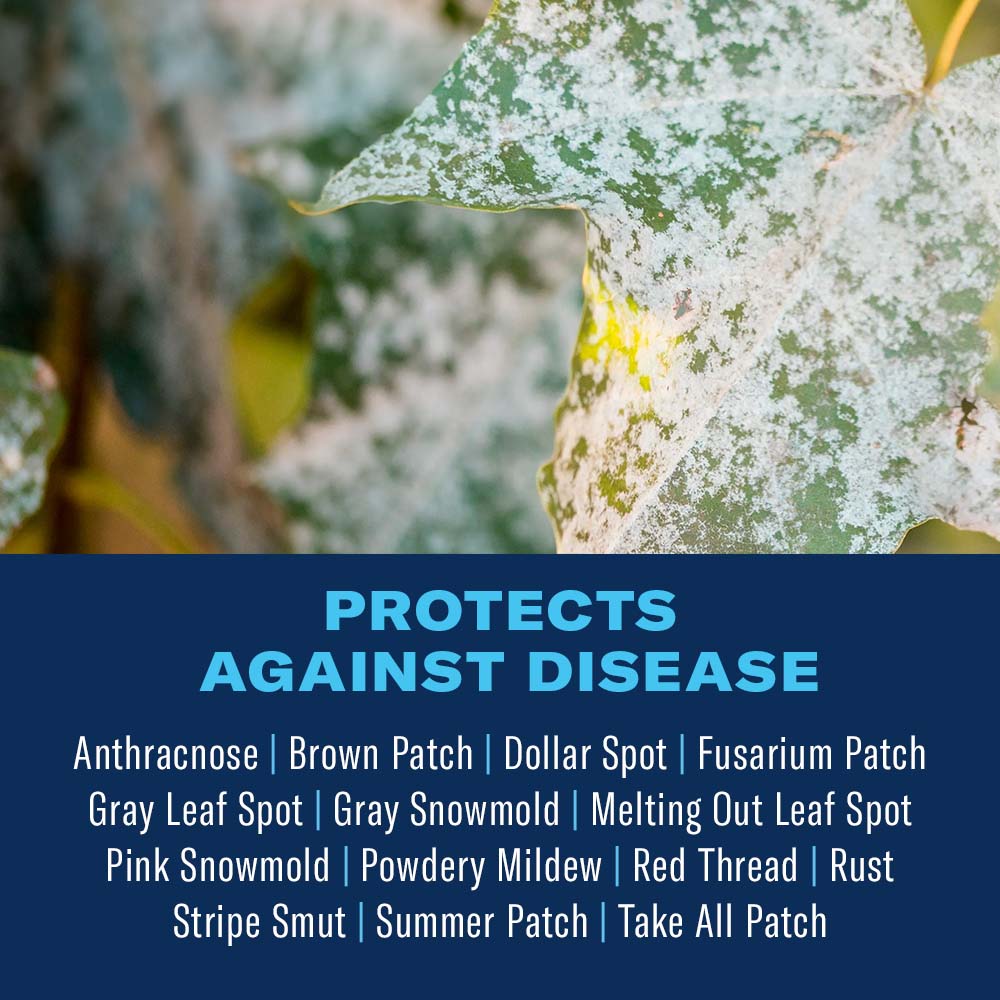 BAYER ADVANCED 502842 Moss-Algae-Fungus-Control - View #2