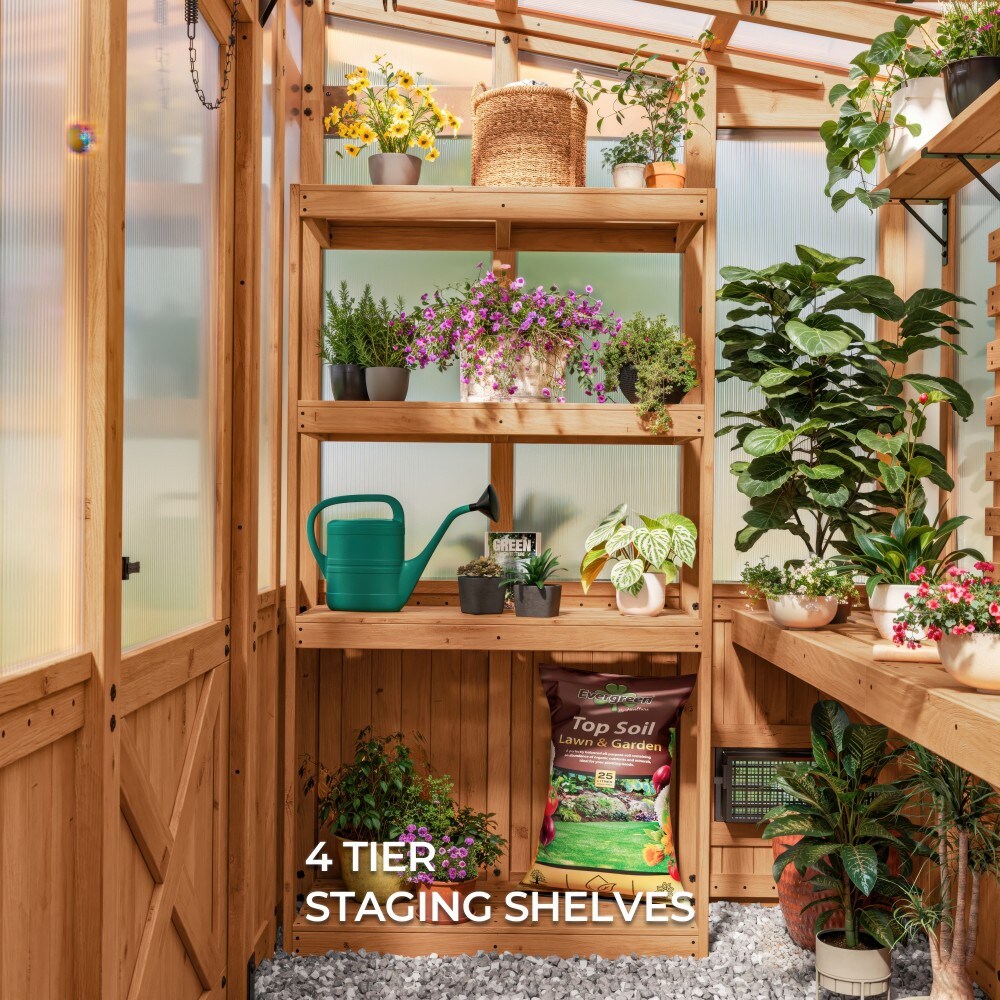 Poppy 9'x6' Cedar Wood and Polycarbonate Greenhouse Kit with PowerPort