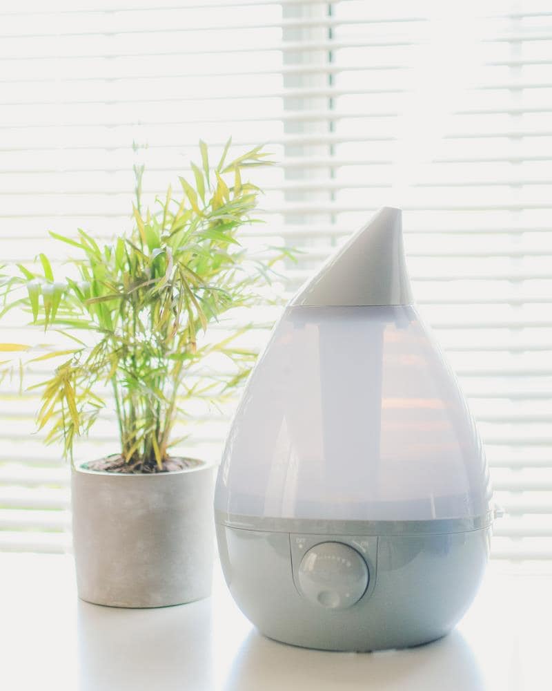 Humidifier deals home centre