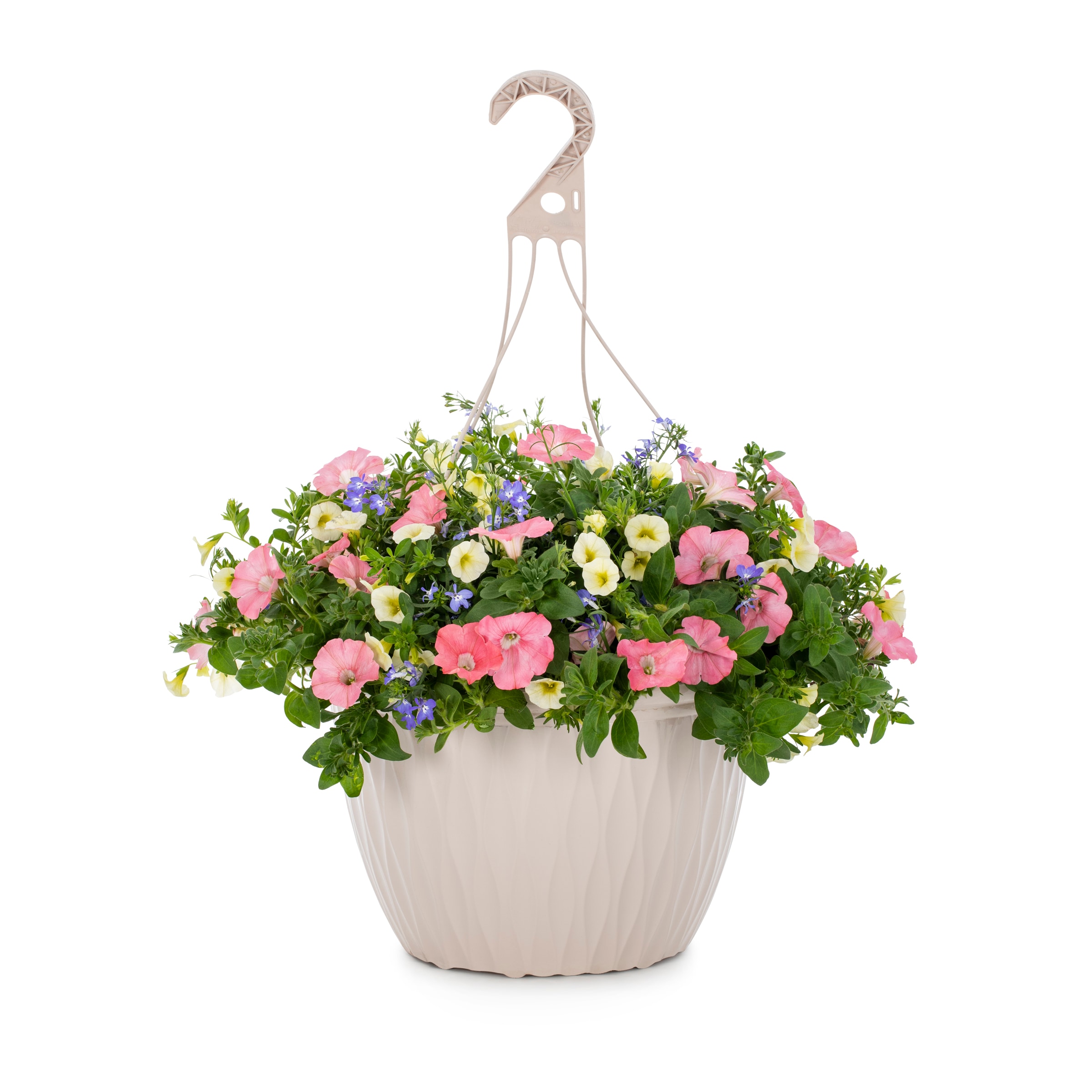 Proven Winners Multicolor Bermuda Skies in 3.5-Gallon Planter at Lowes.com