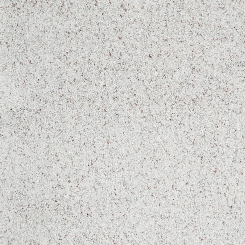 STAINMASTER DL47A-105S (Sample) Signature Castleberry Unceasing Textured Carpet