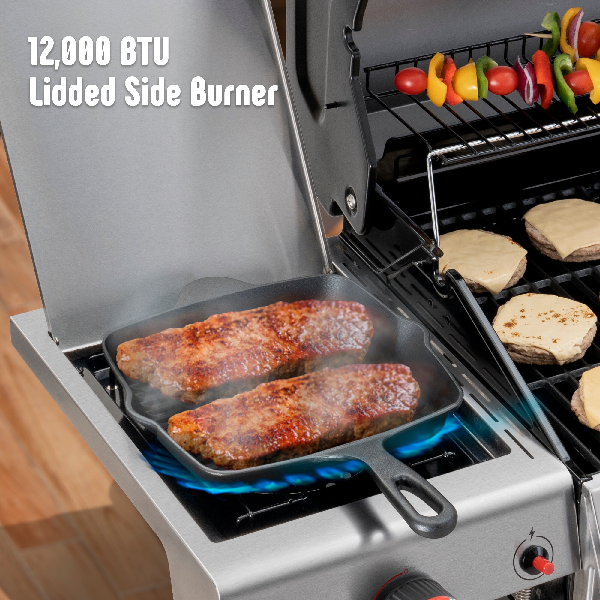 Feasto GL4101S Gas-Grill - View #4