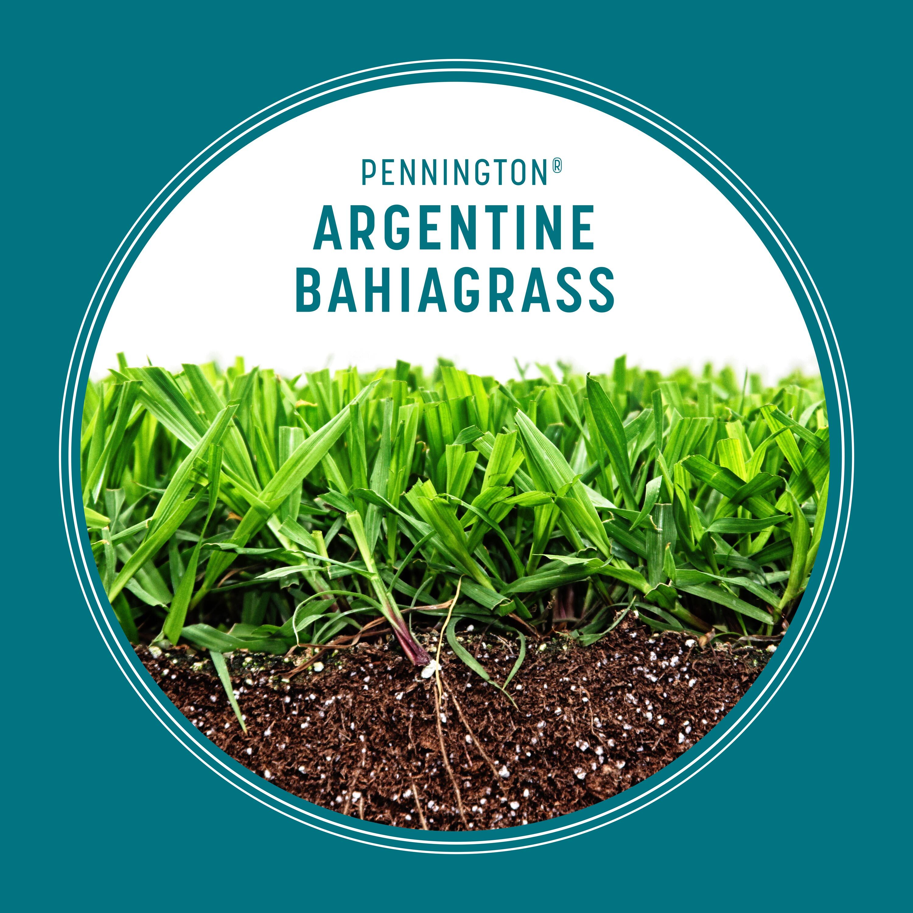 Pennington 2149602256 Grass-Seed - View #3