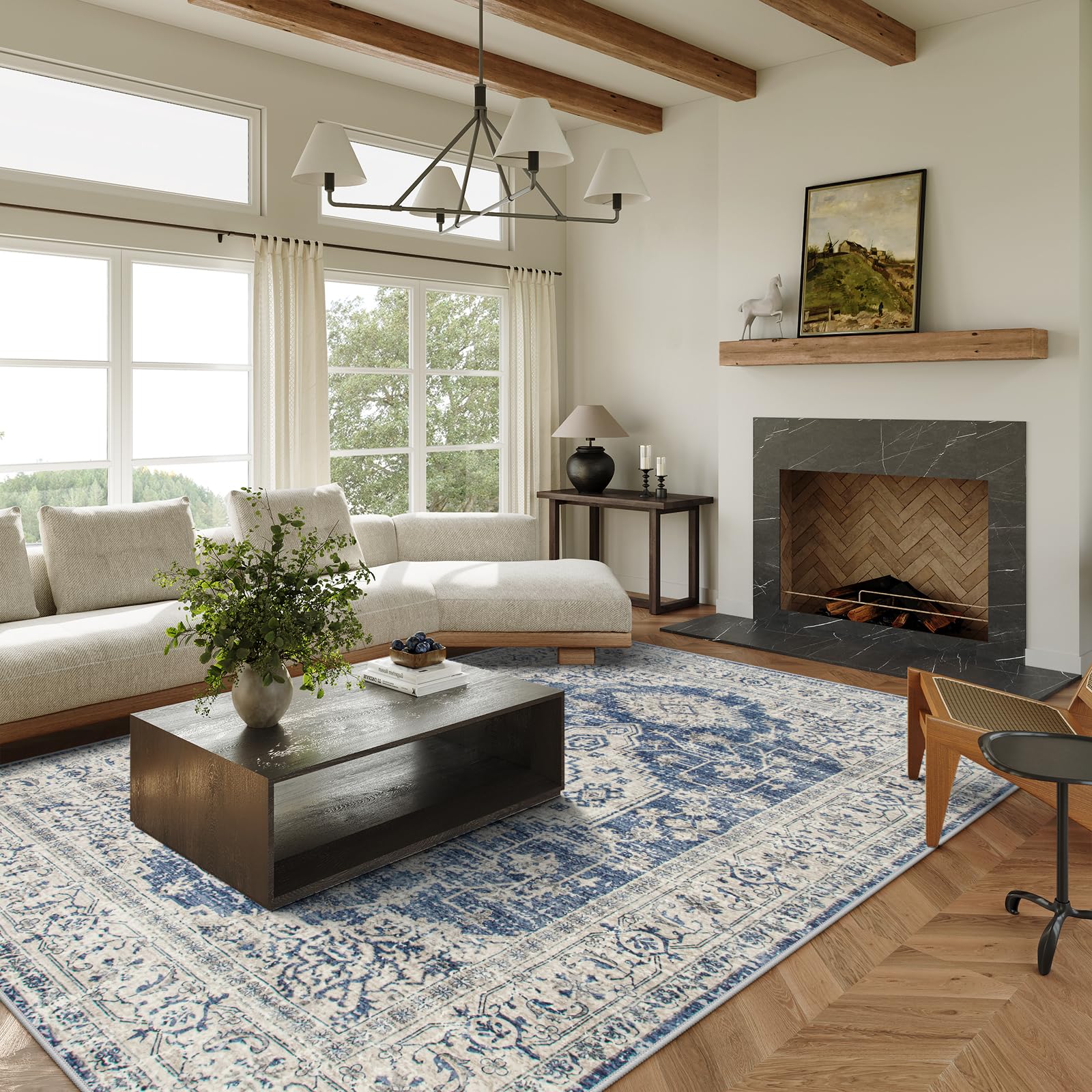 Lahome AR-DYR-071-BL4 rugs - View #6