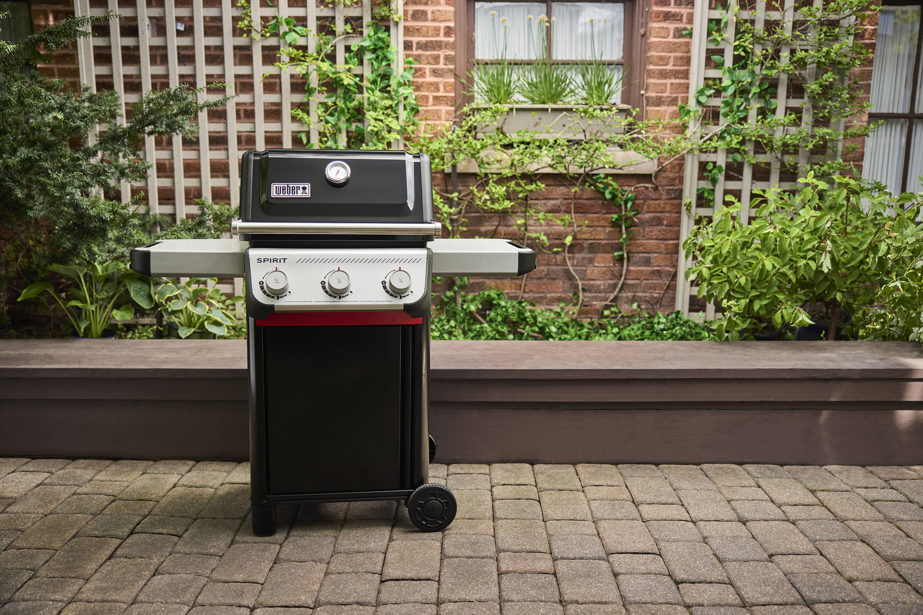 Weber 1500788 Gas-Grill - View #4