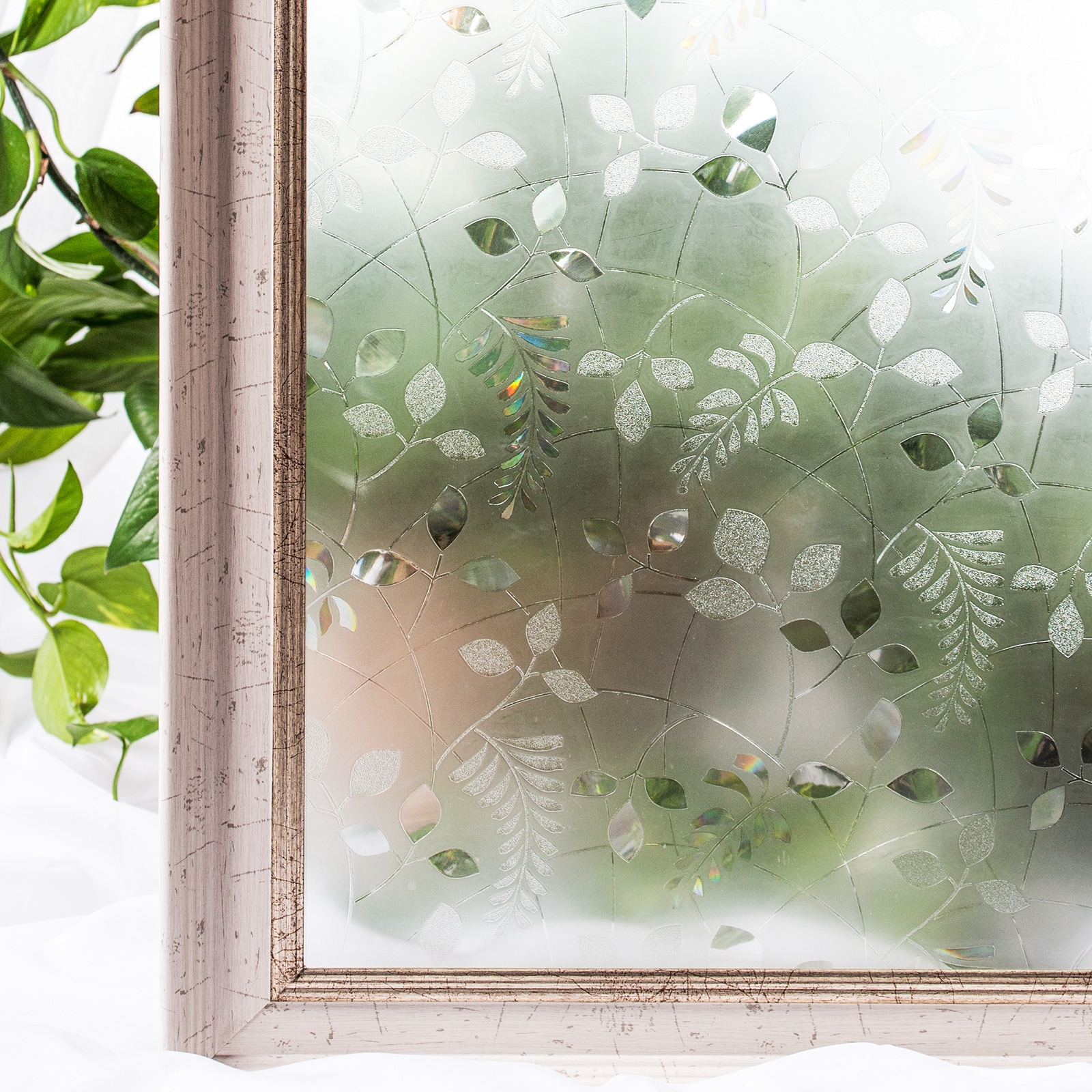 Cotton Colors CT025 35-1/4-in x 78-in Frosted Decorative Window Film