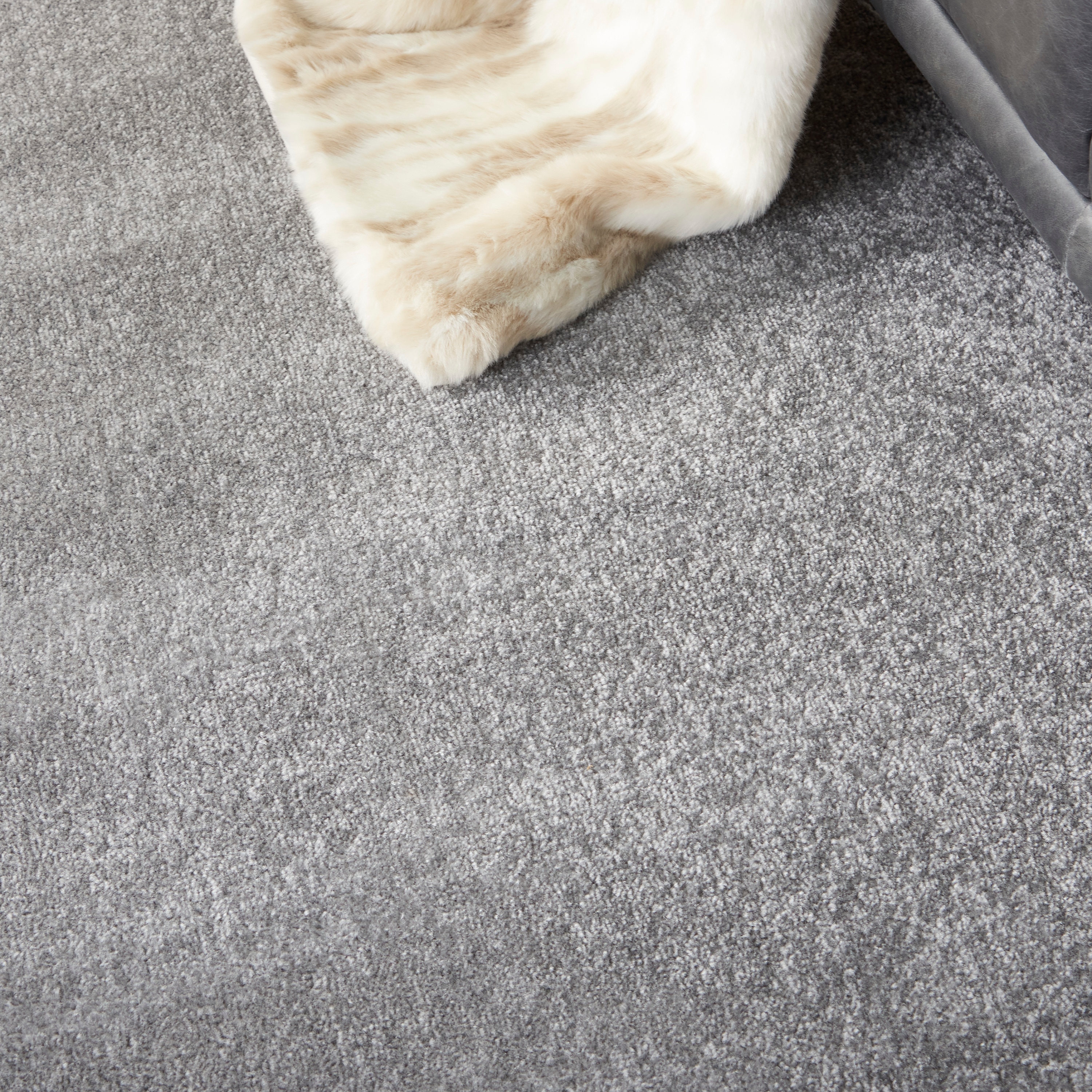Nourison 099446825070 rugs - View #8
